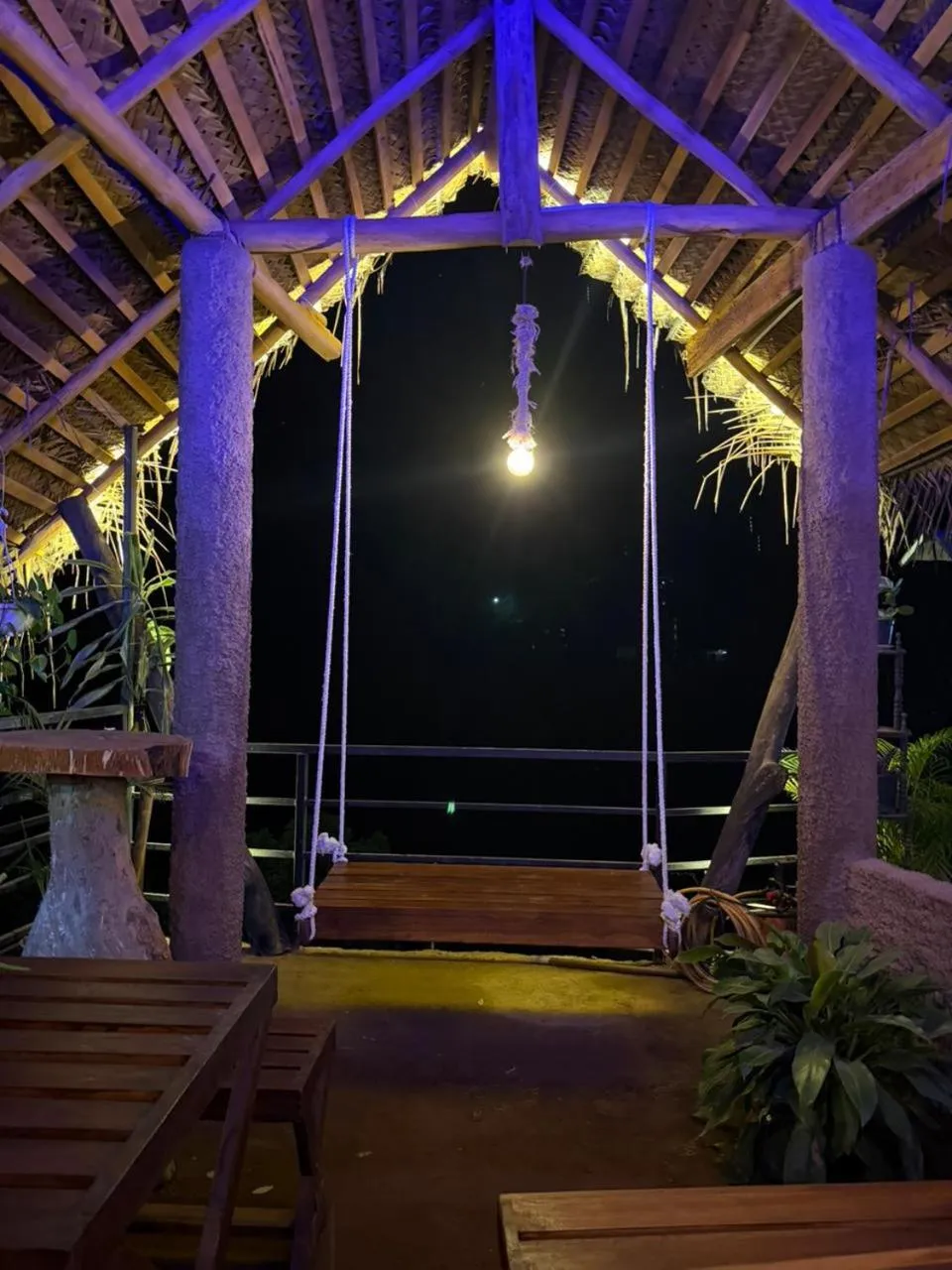 Ella Lucky Panoramic