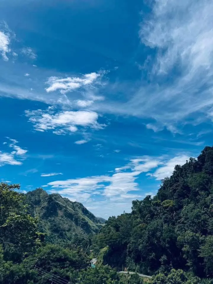 Ella Lucky Panoramic