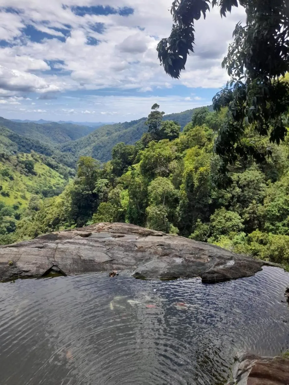 Ella Lucky Panoramic