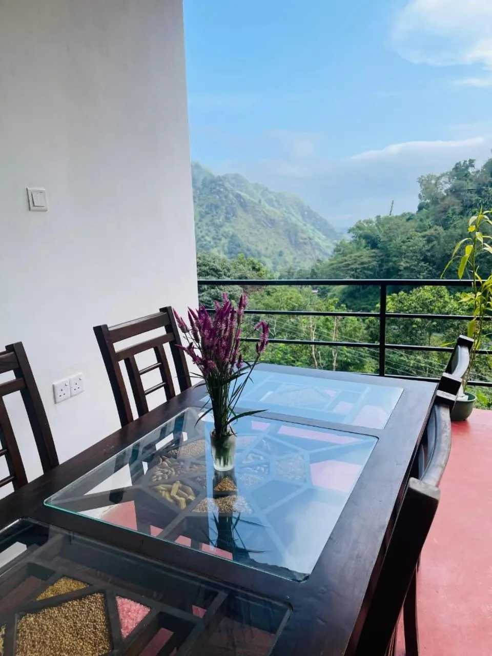 Ella Lucky Panoramic