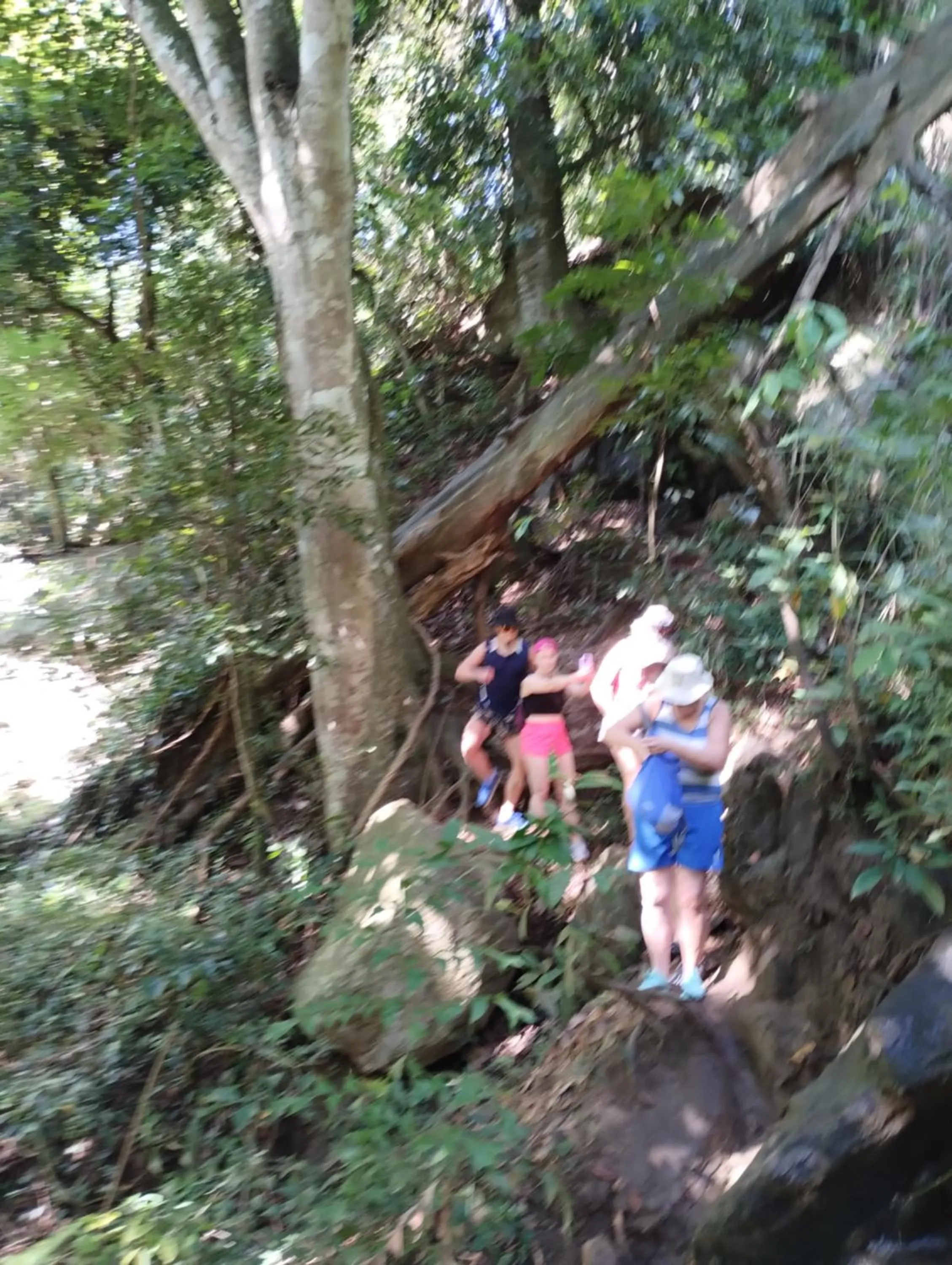 Ella Lucky Panoramic