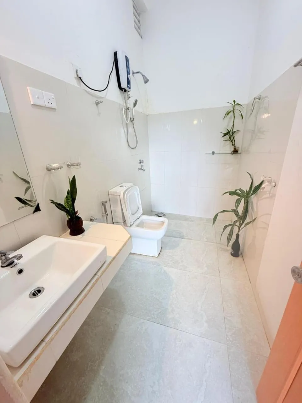 Ella Lucky Panoramic