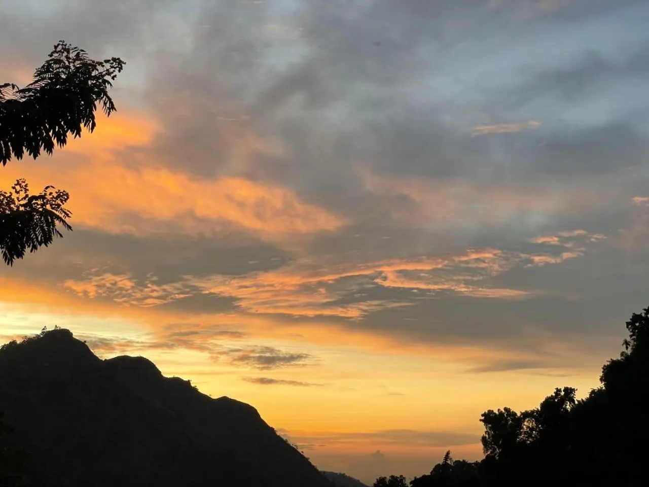 Ella Lucky Panoramic