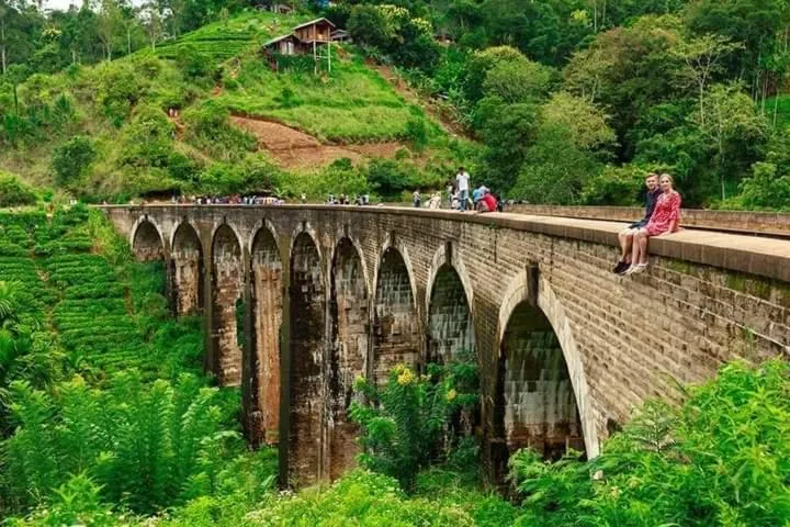 Ella Lucky Panoramic