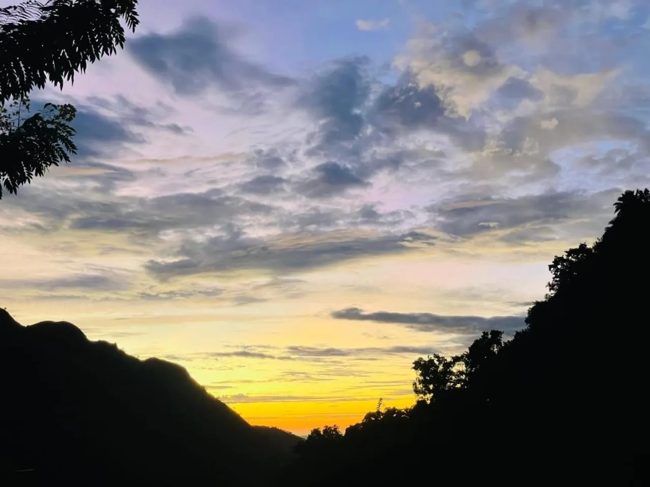 Ella Lucky Panoramic