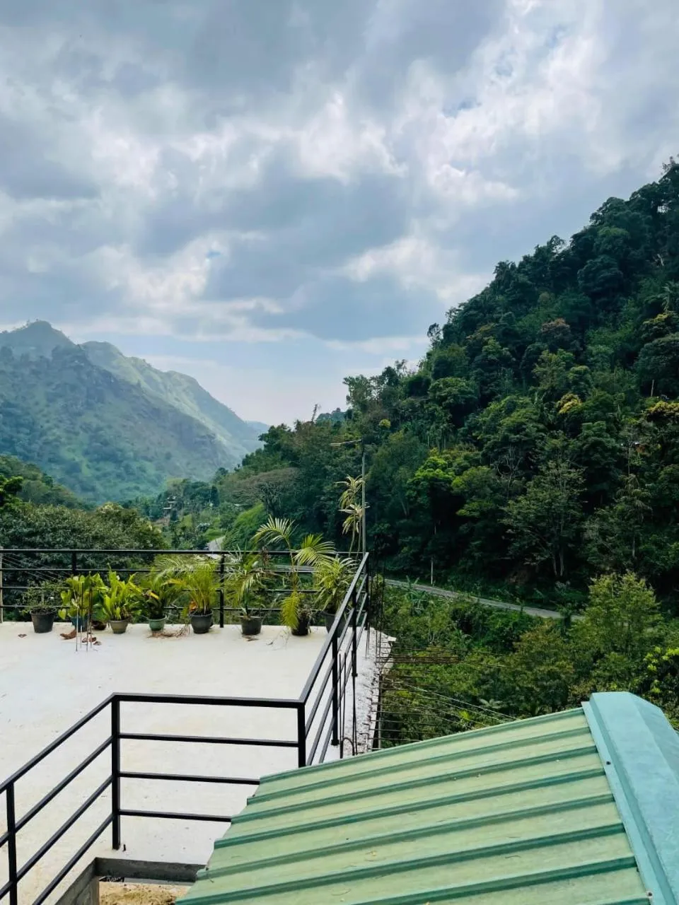 Ella Lucky Panoramic