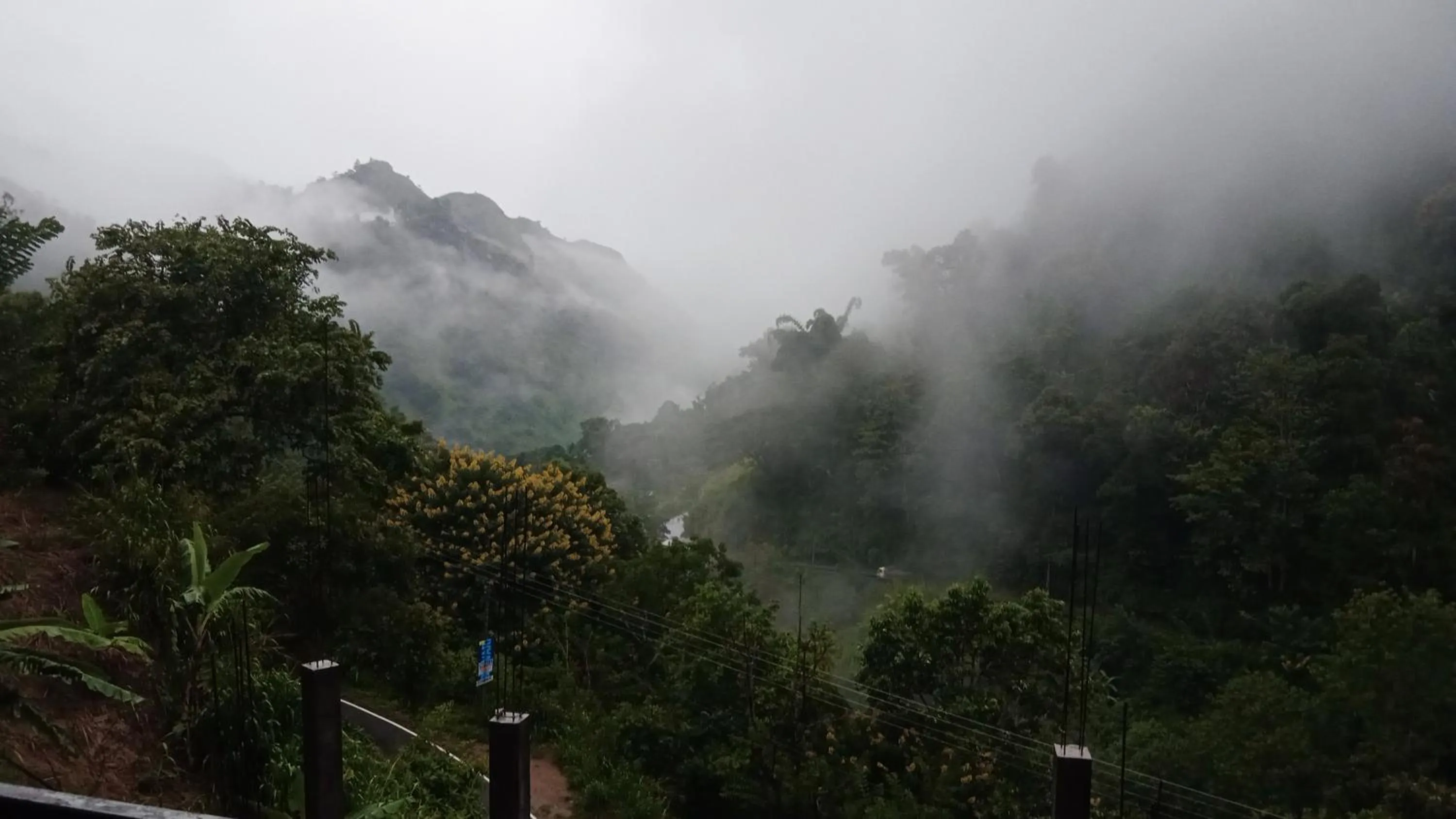 Ella Lucky Panoramic