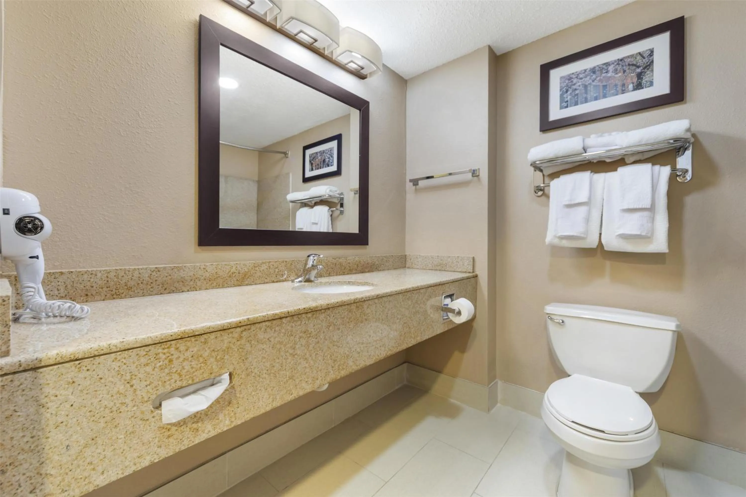 Bathroom in Best Western Chesapeake Bay North Inn