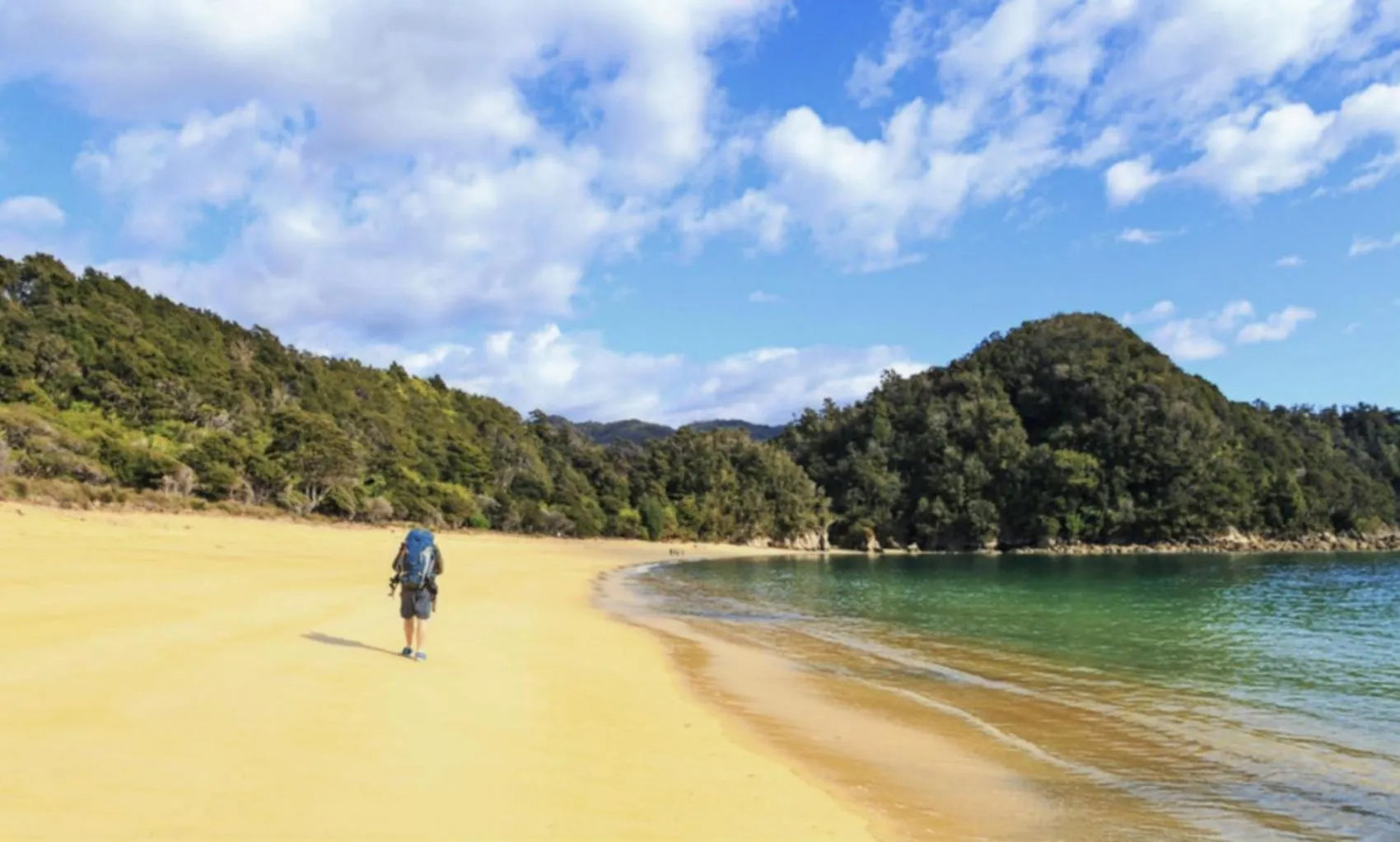 Happy Apple Backpackers