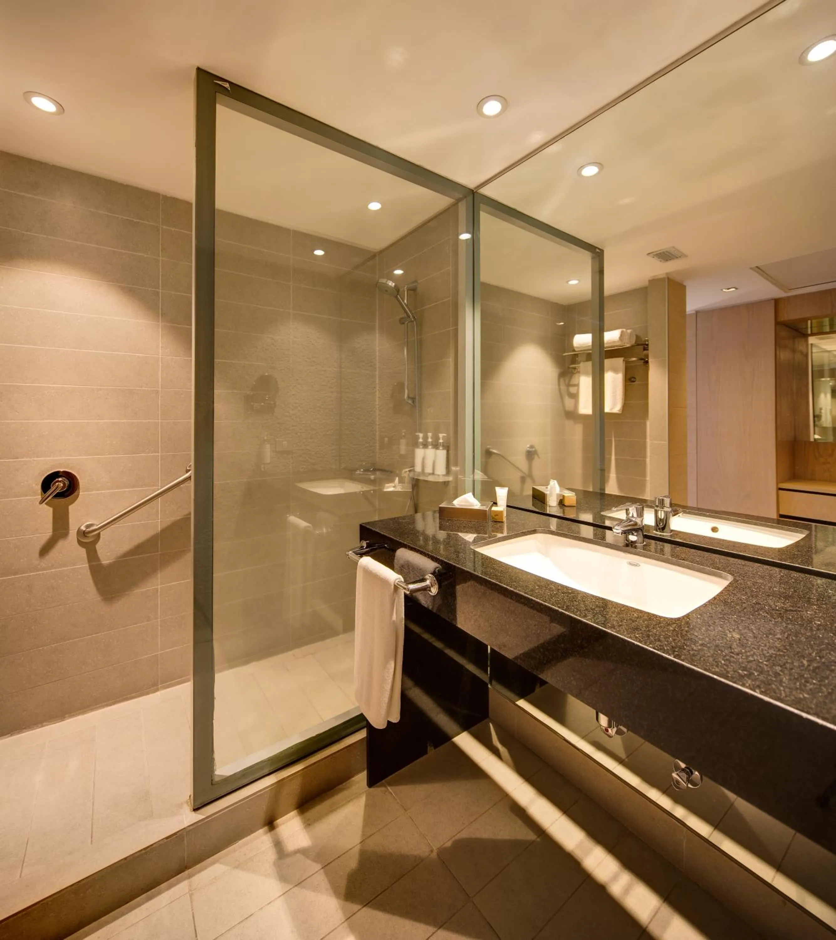 Bathroom in Wyndham Concepcion Pettra