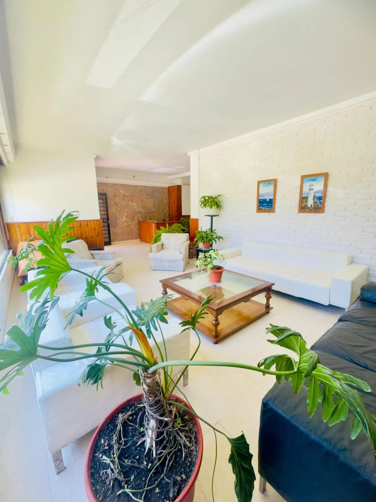 Lobby or reception in Hotel Nuevo Horizonte