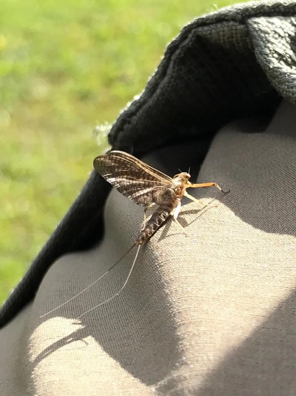 Spring in Hotel Bel Sit