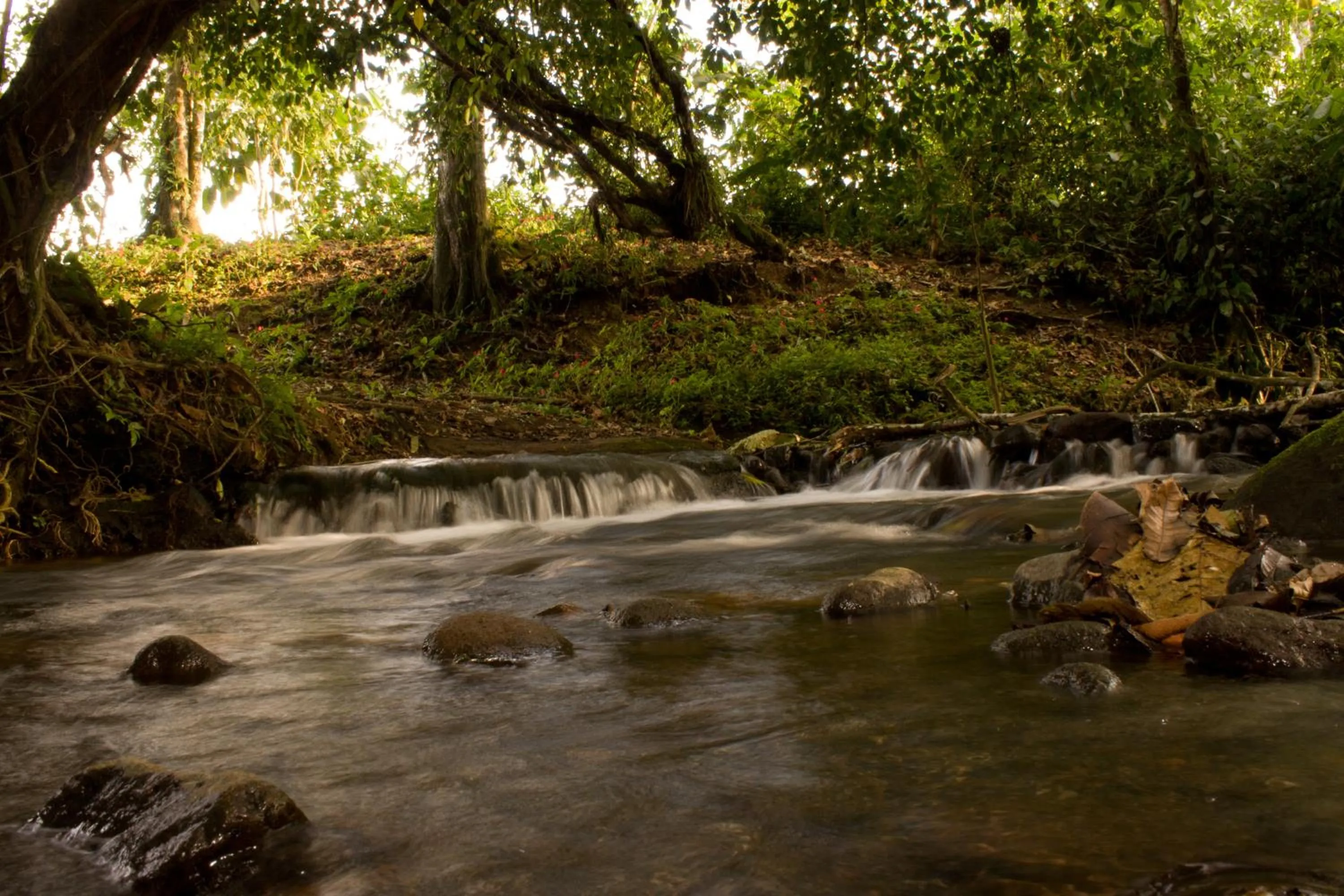 Other in Hotel Eco Arenal