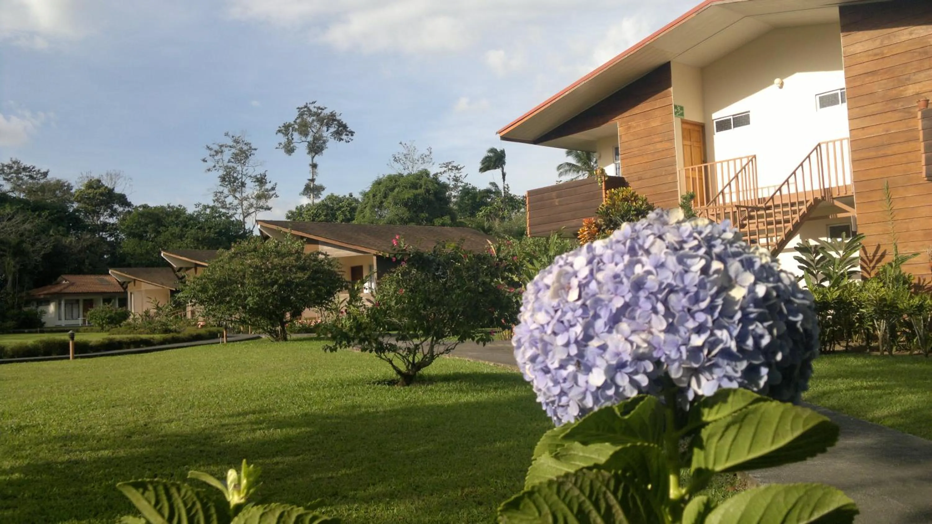 Garden in Hotel Eco Arenal