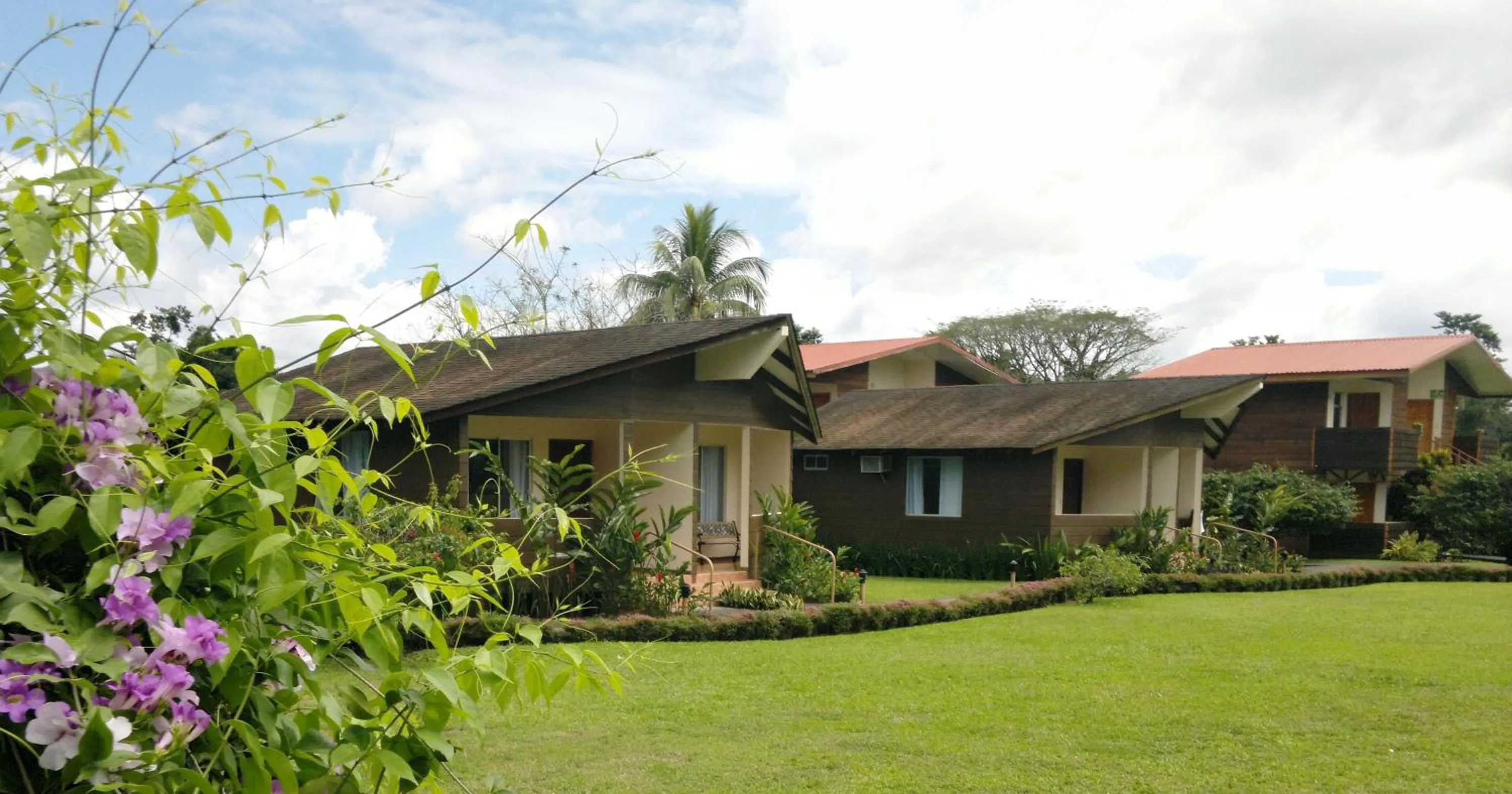 Area and facilities in Hotel Eco Arenal