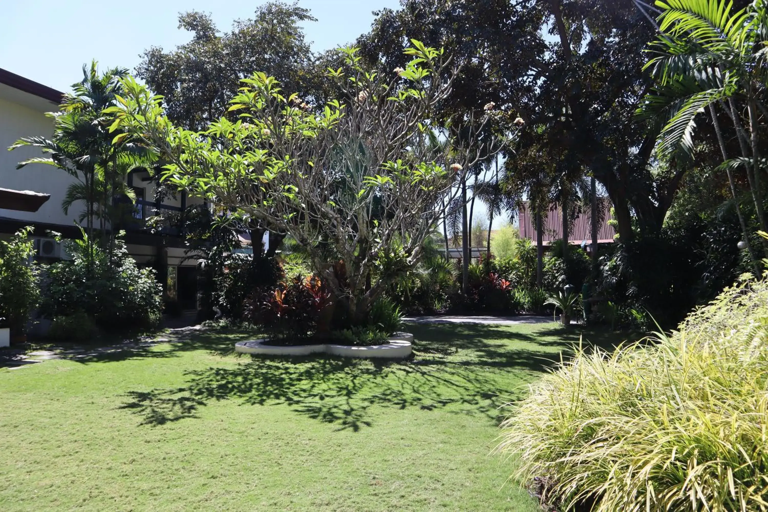 Garden view in Domicilio Lorenzo Garden view in Domicilio Lorenzo