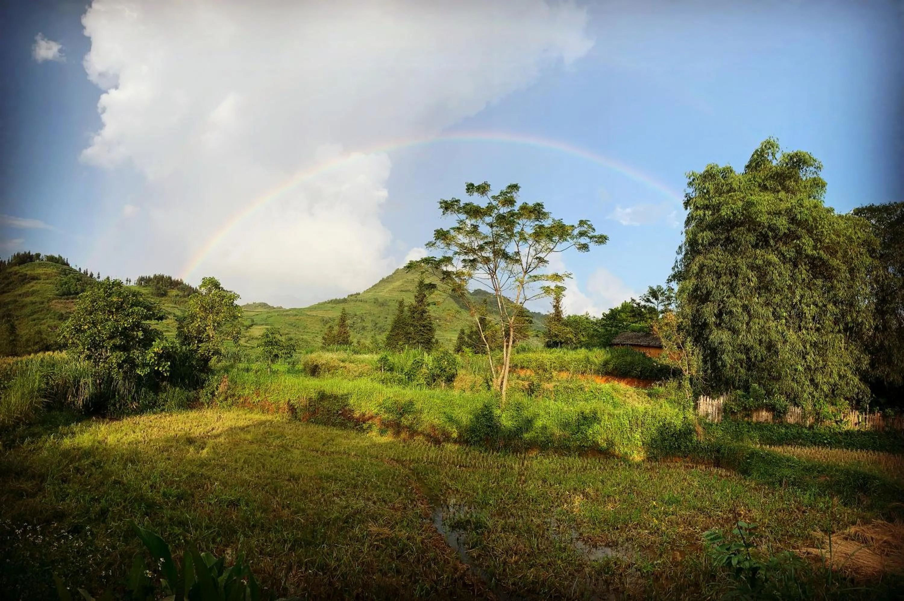 Day in Mun Homestay