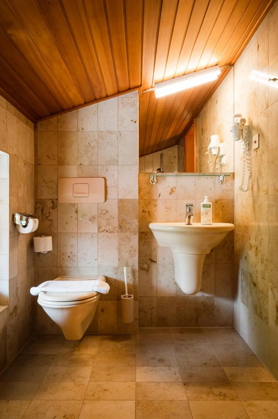 Toilet in Panoramahotel Wagner - Das Biohotel am Semmering