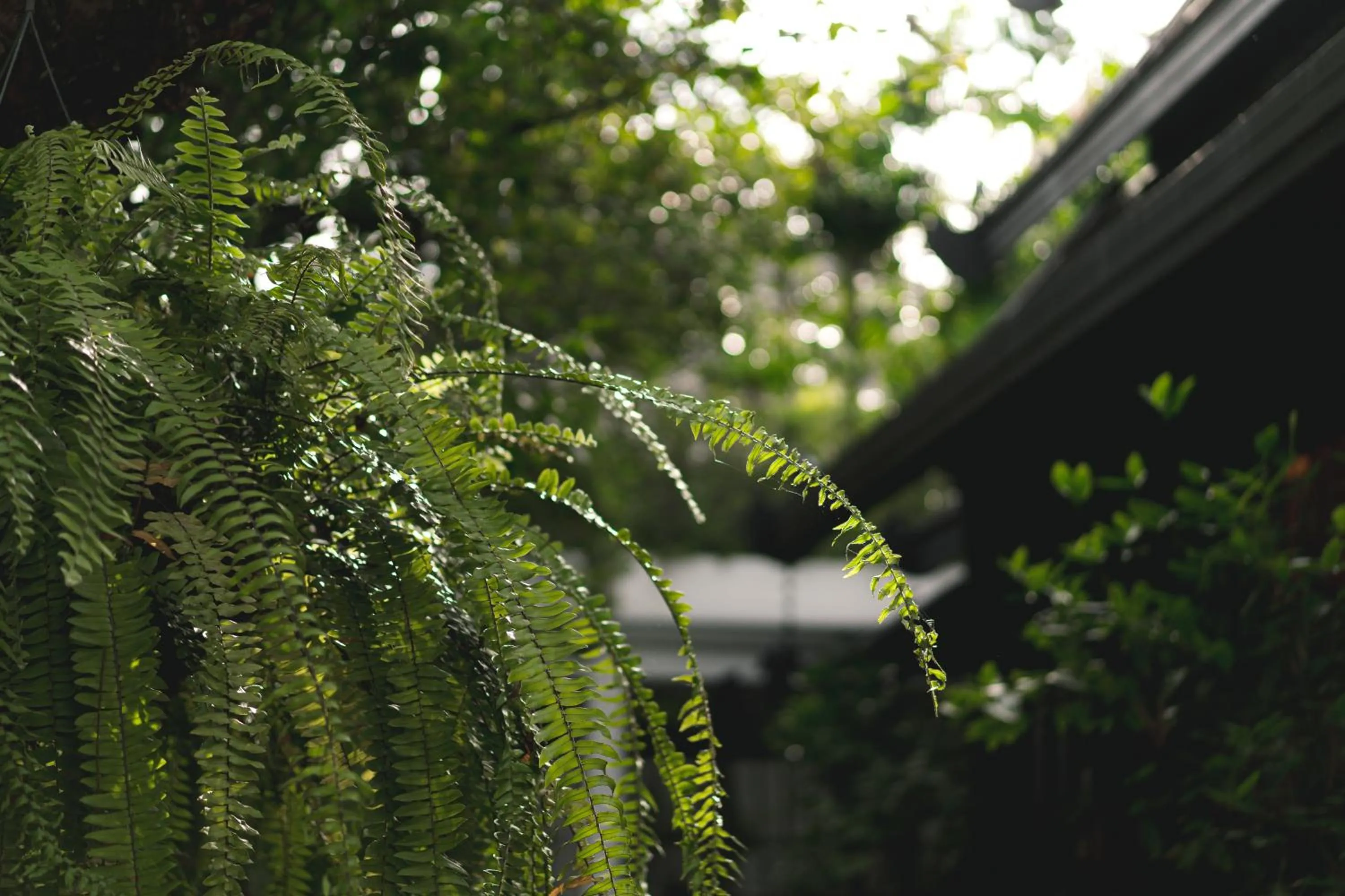 Natural landscape in Makka Hotel