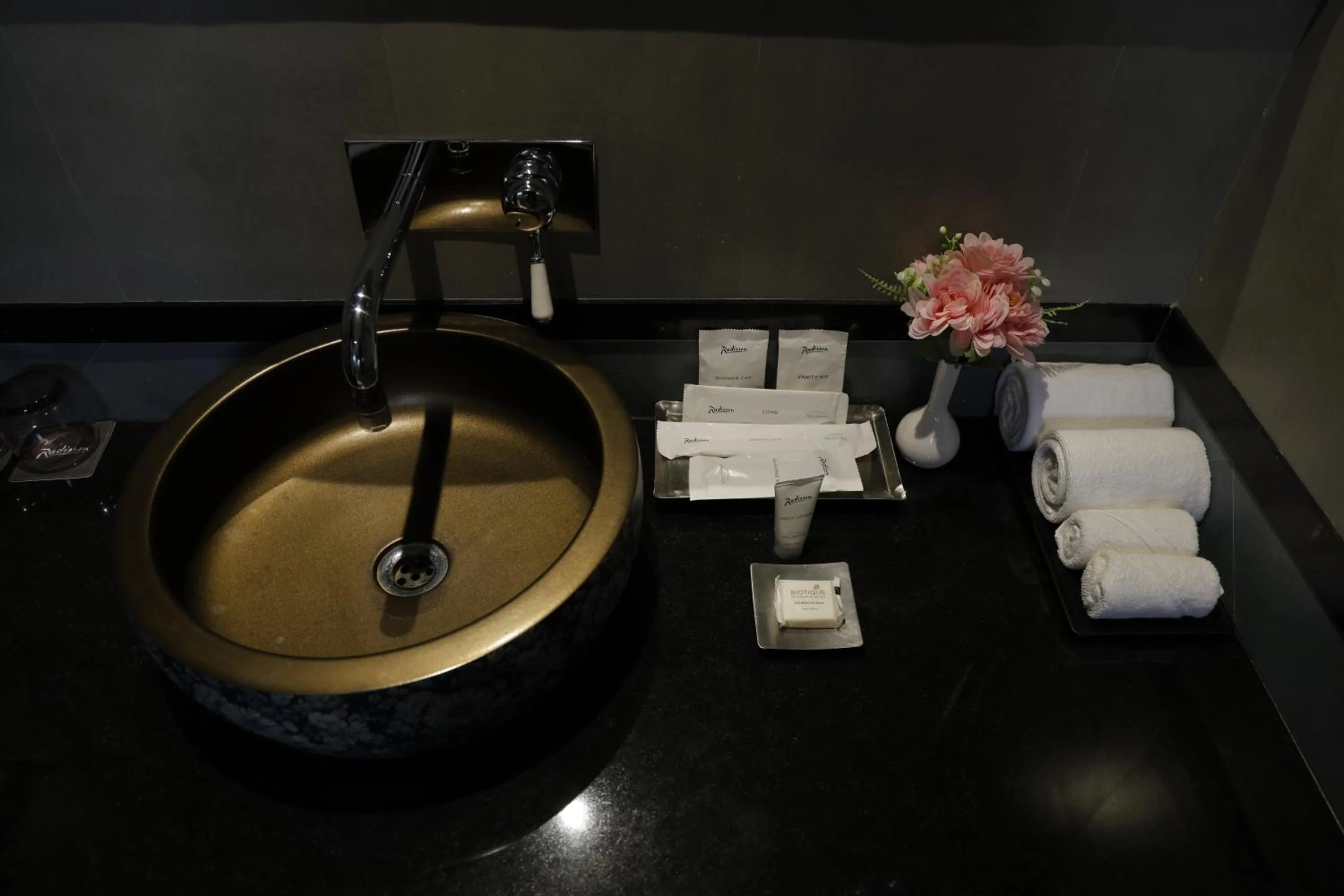 Toilet in Radisson Resort & Spa Kandla