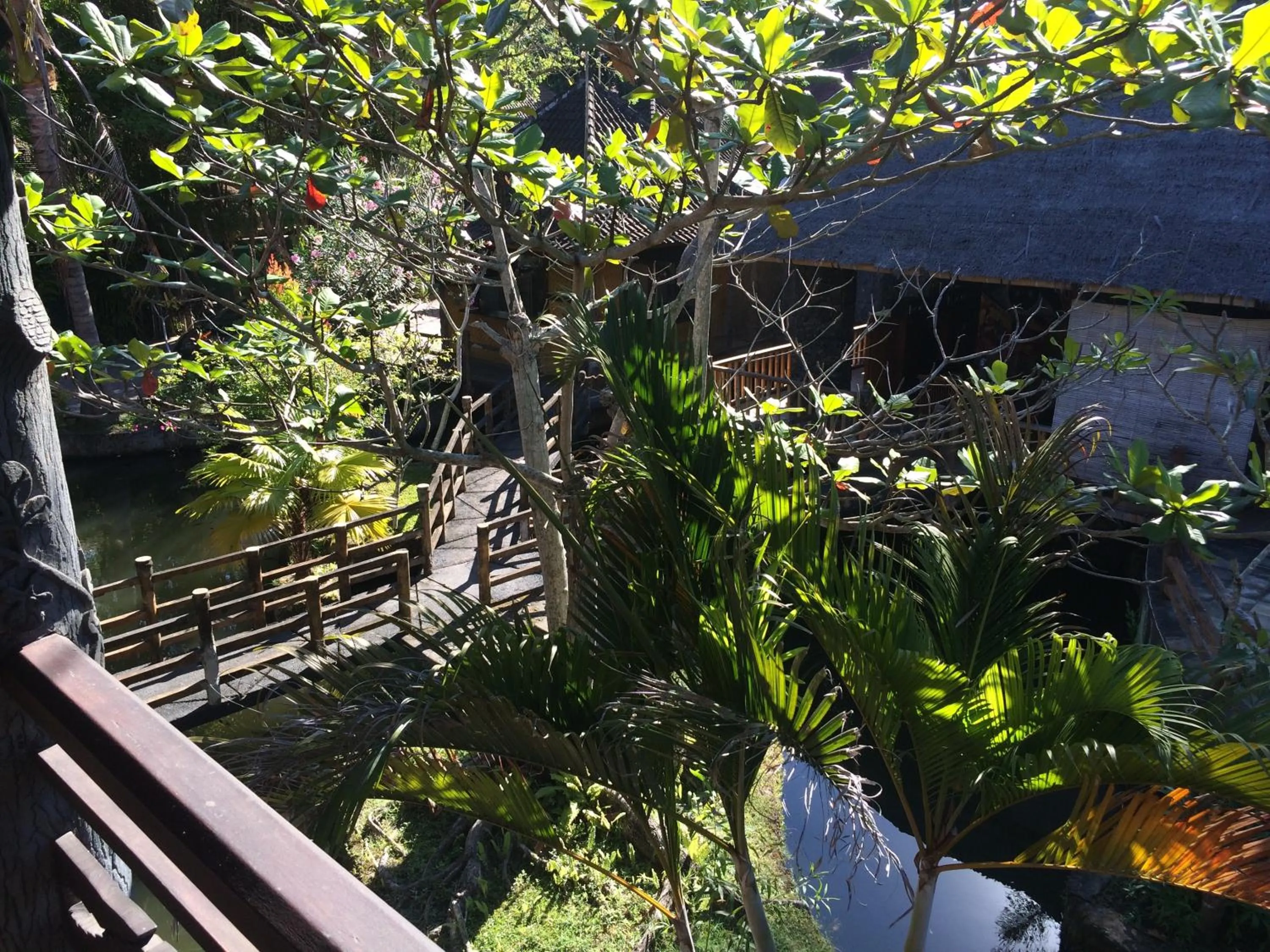 Garden in Kangkung Cottages