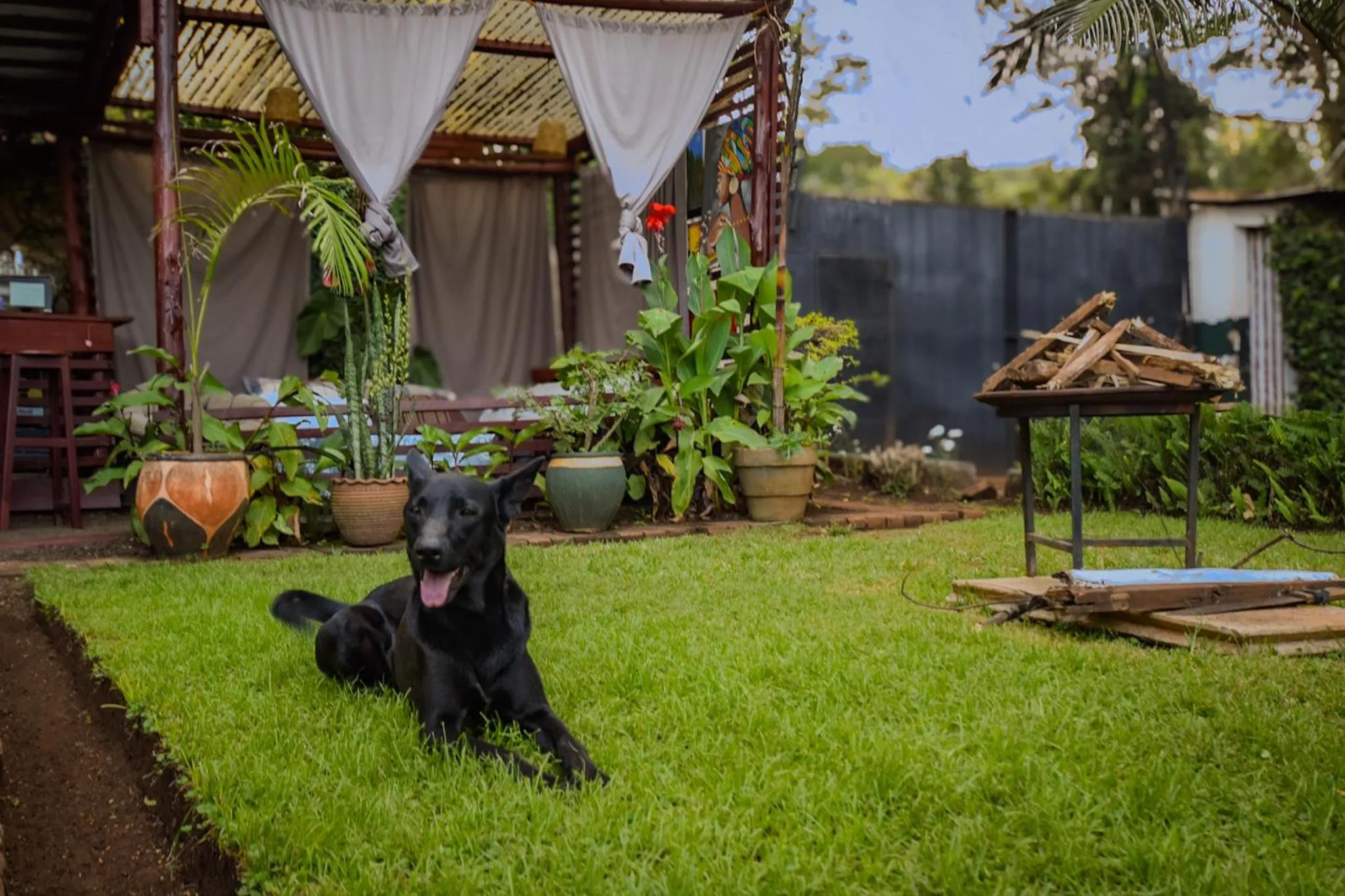Pets in Utamaduni House B&B