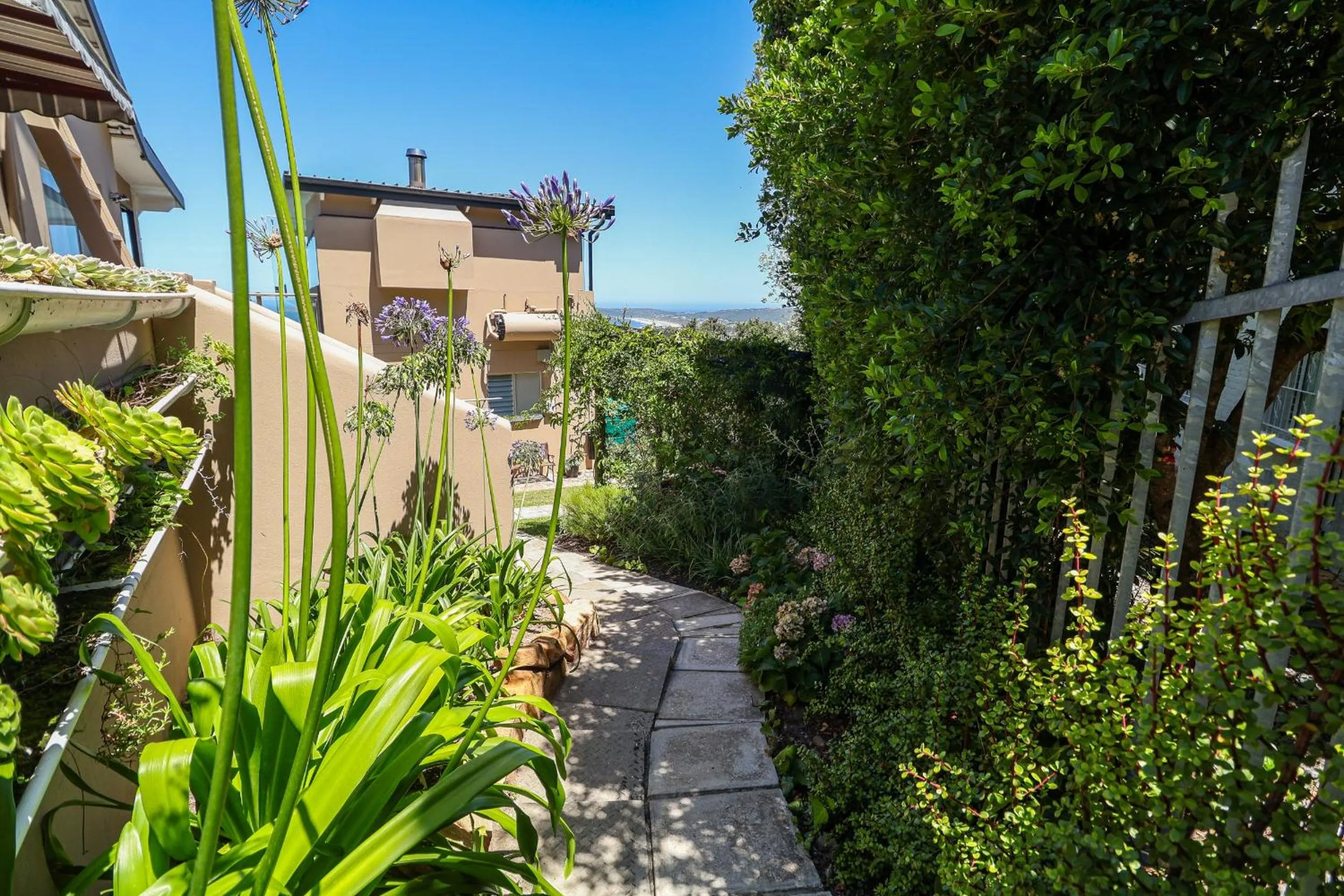 Garden in Belle Vue Ridge BnB,