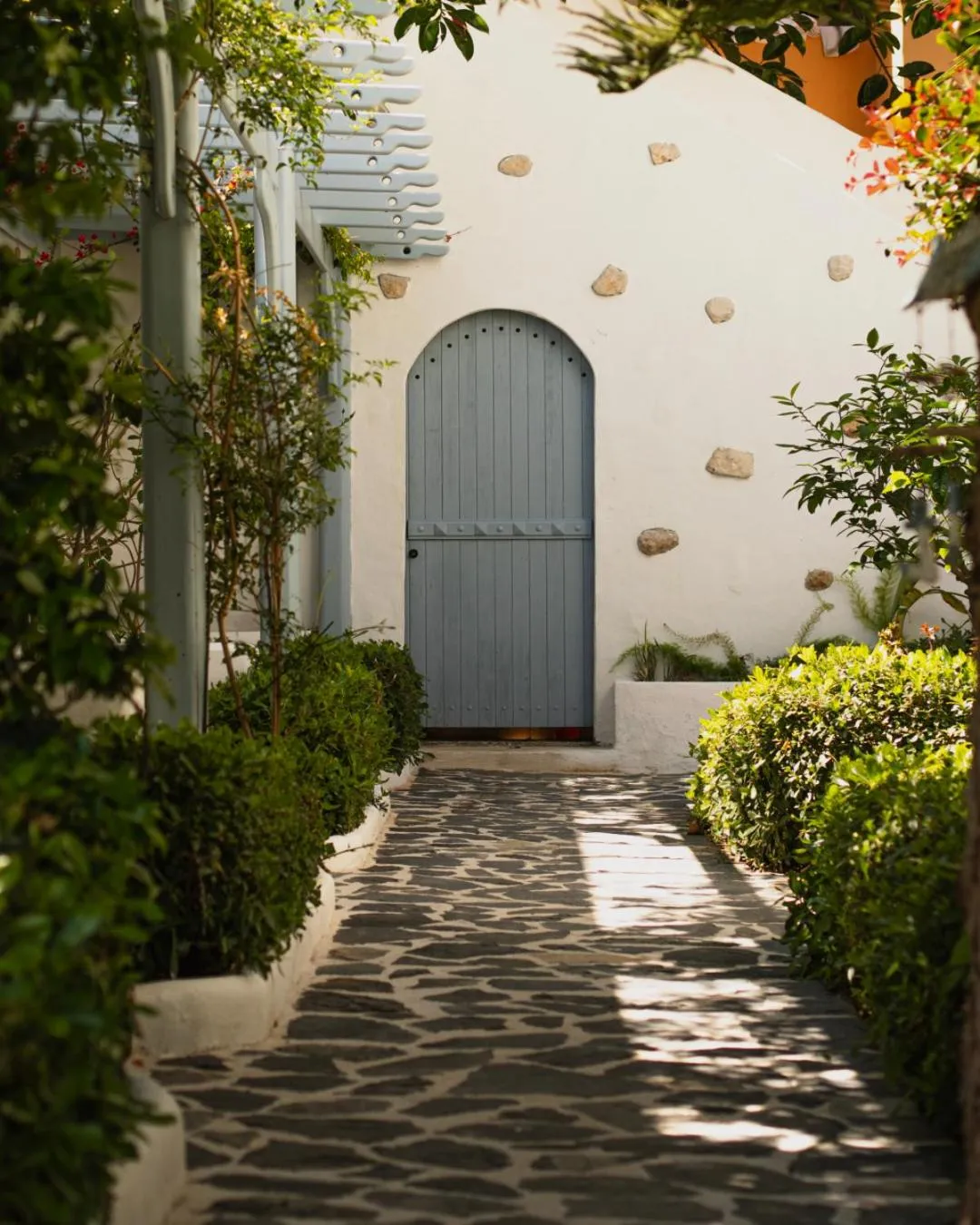 Garden view in Kassandra Boutique Hotel