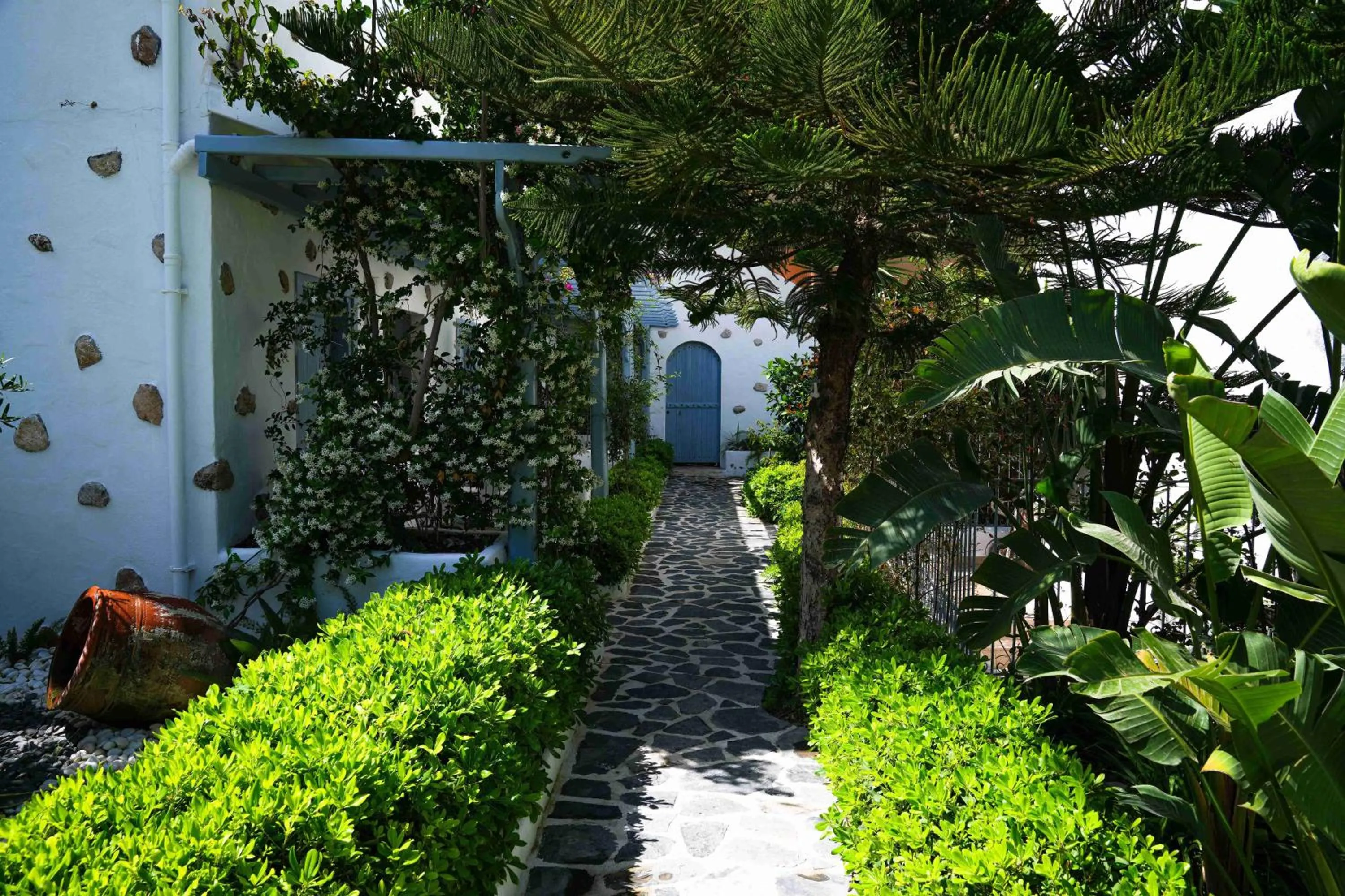 Garden in Kassandra Boutique Hotel