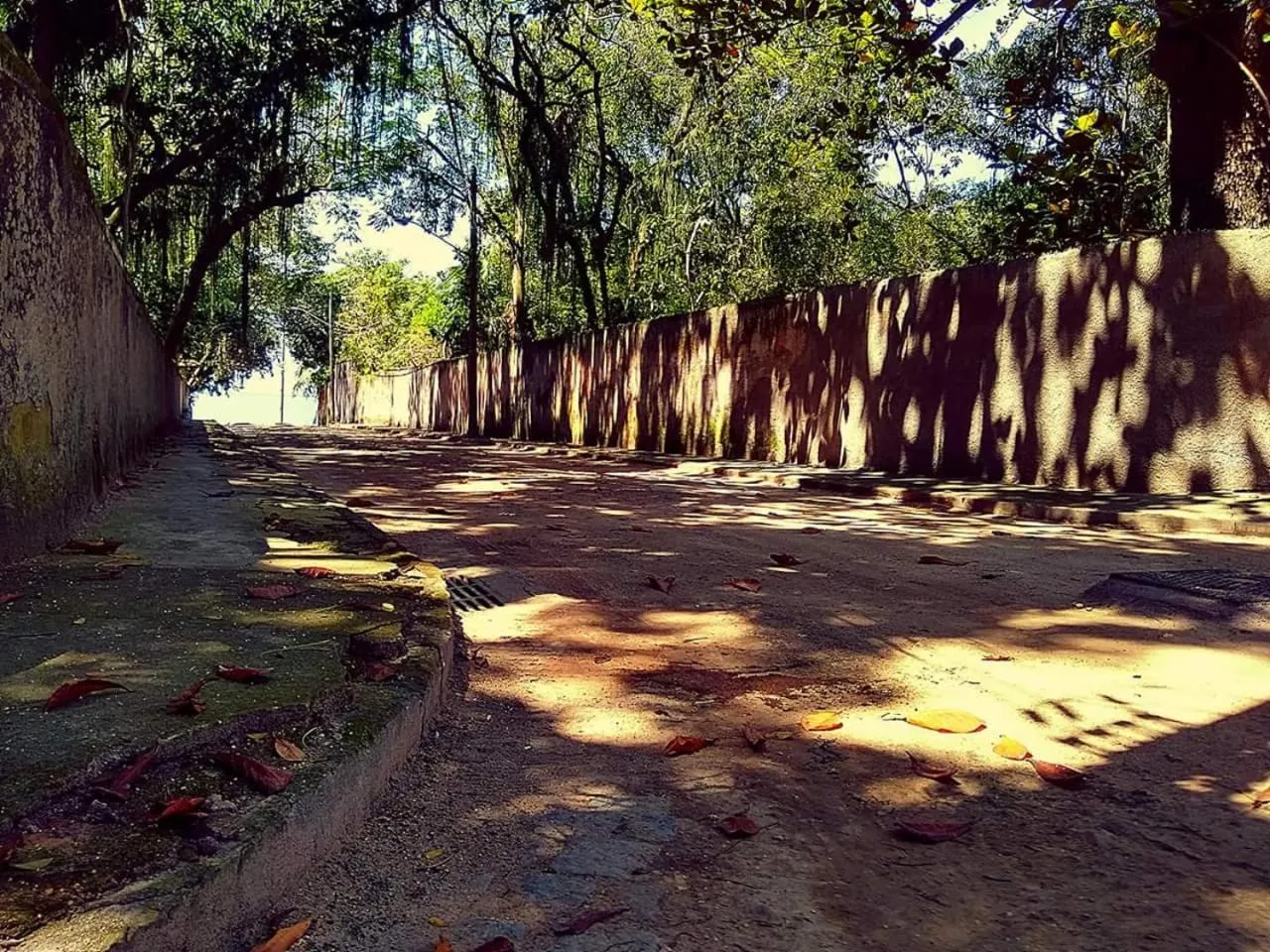 Natural landscape in Casa da Coruja