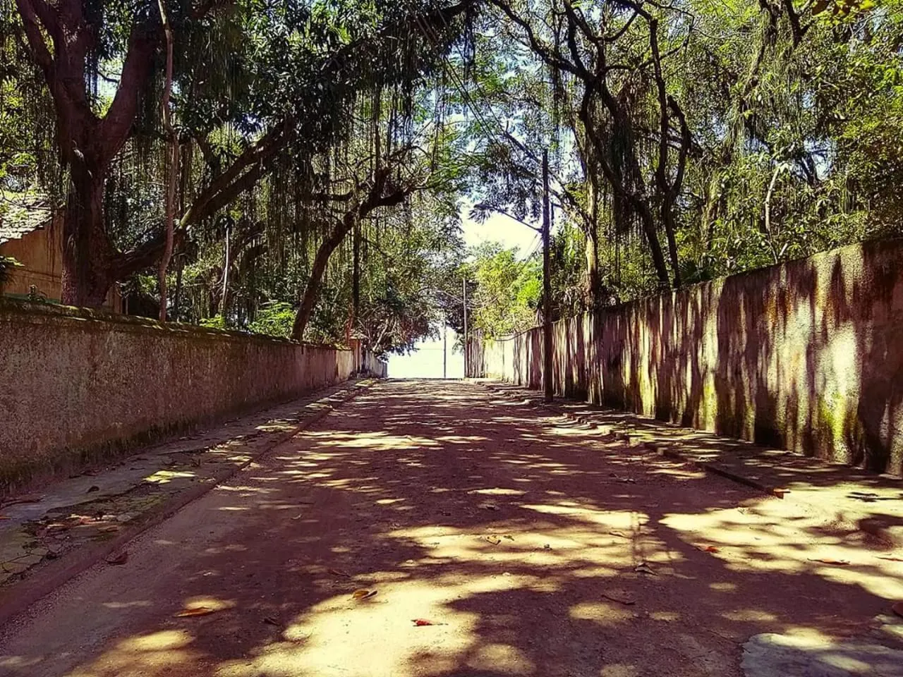 Natural landscape in Casa da Coruja