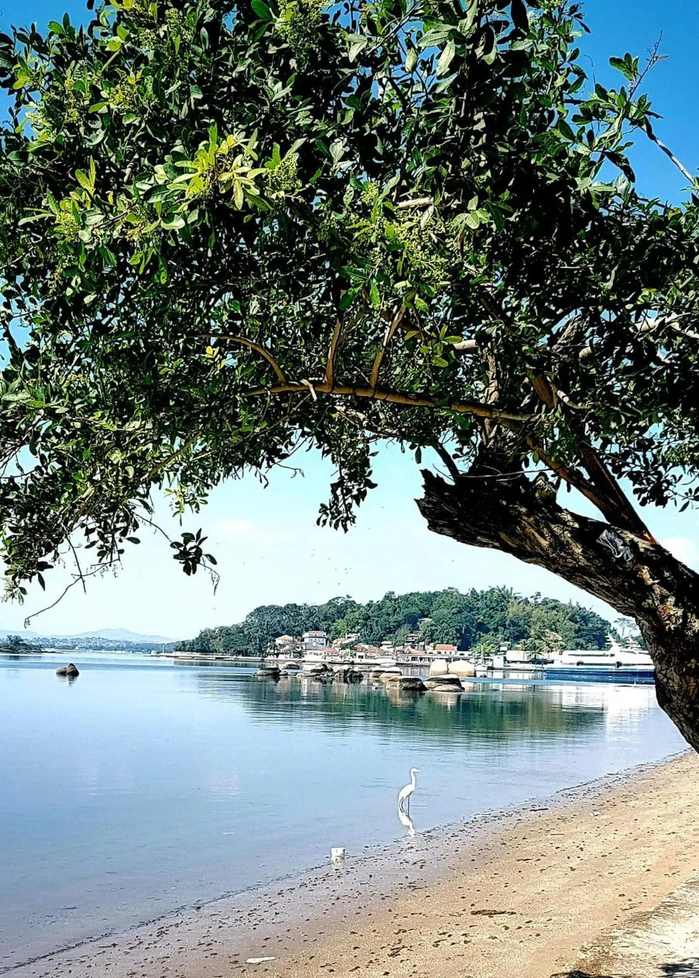 Natural landscape in Casa da Coruja