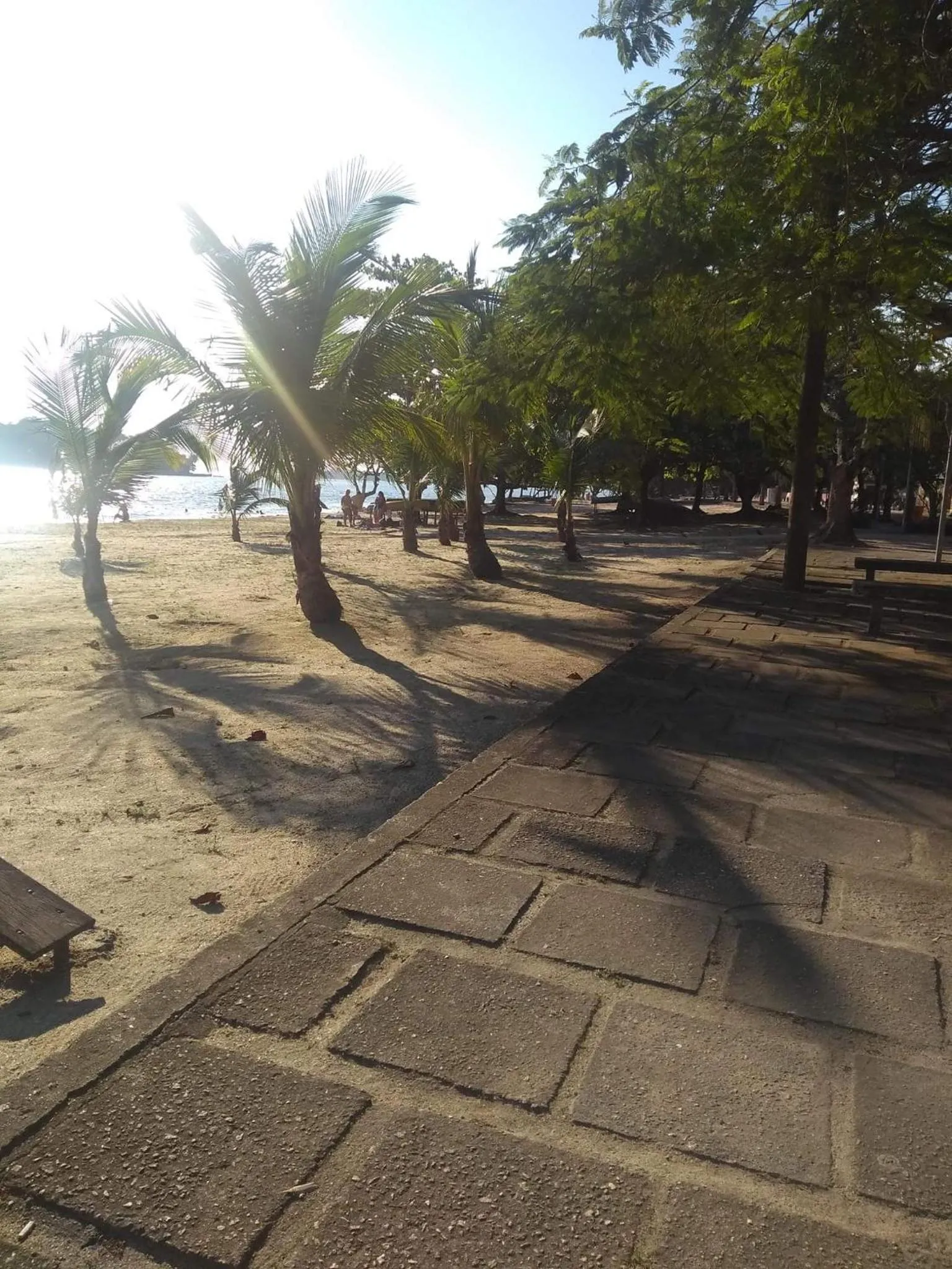Beach in Casa da Coruja