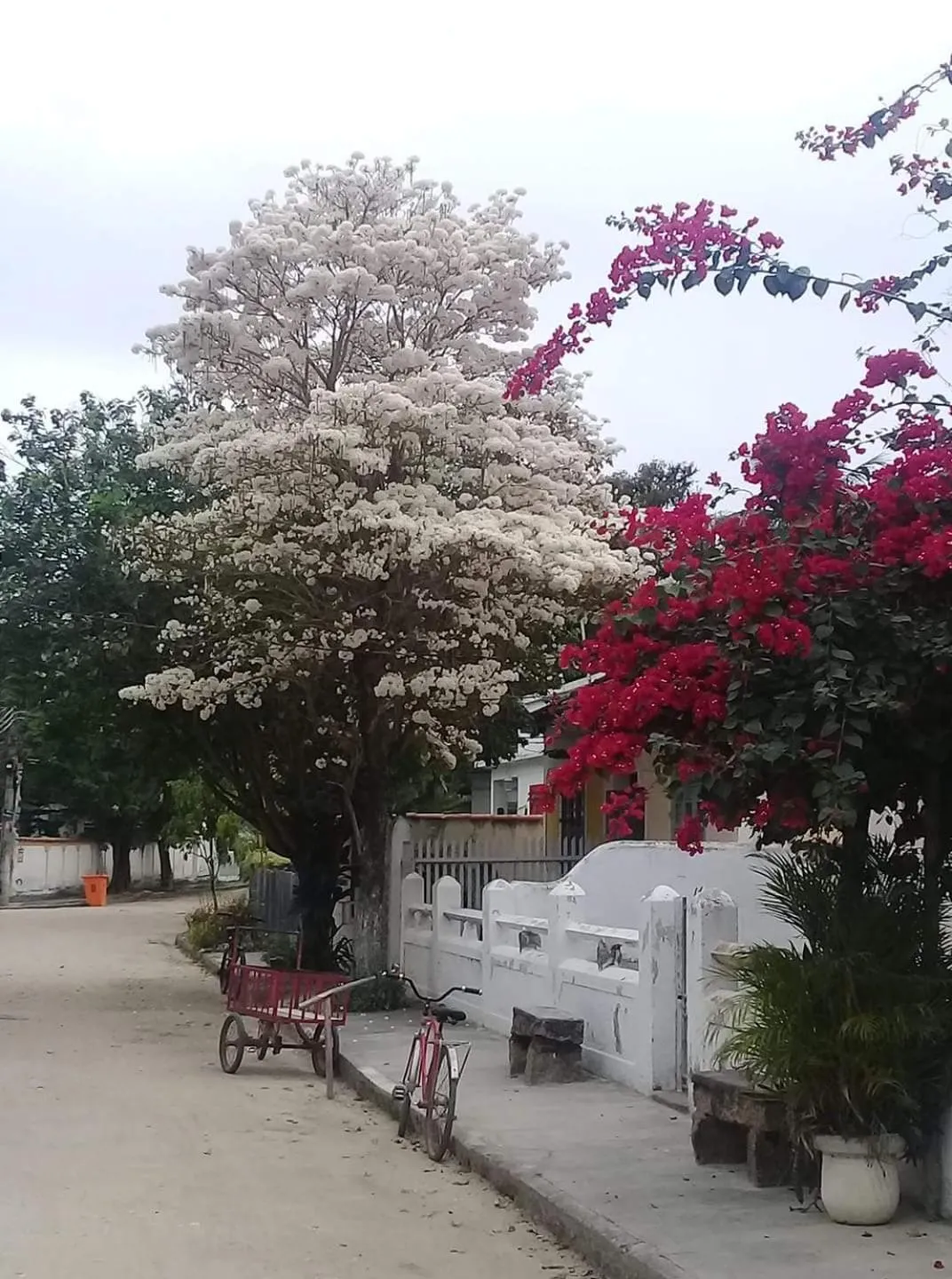 Natural landscape in Casa da Coruja