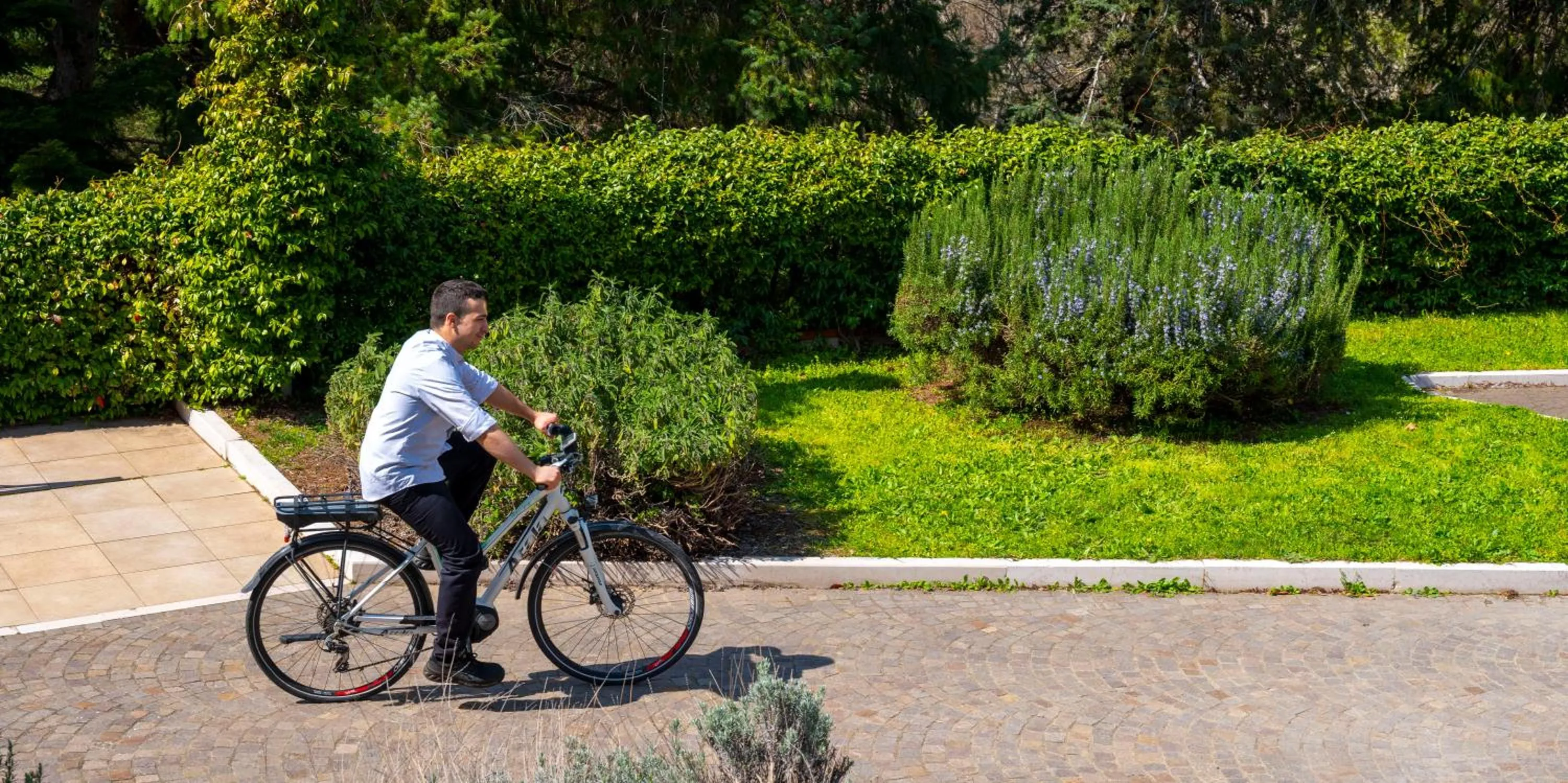 Restaurant/places to eat in Il Castagneto Hotel