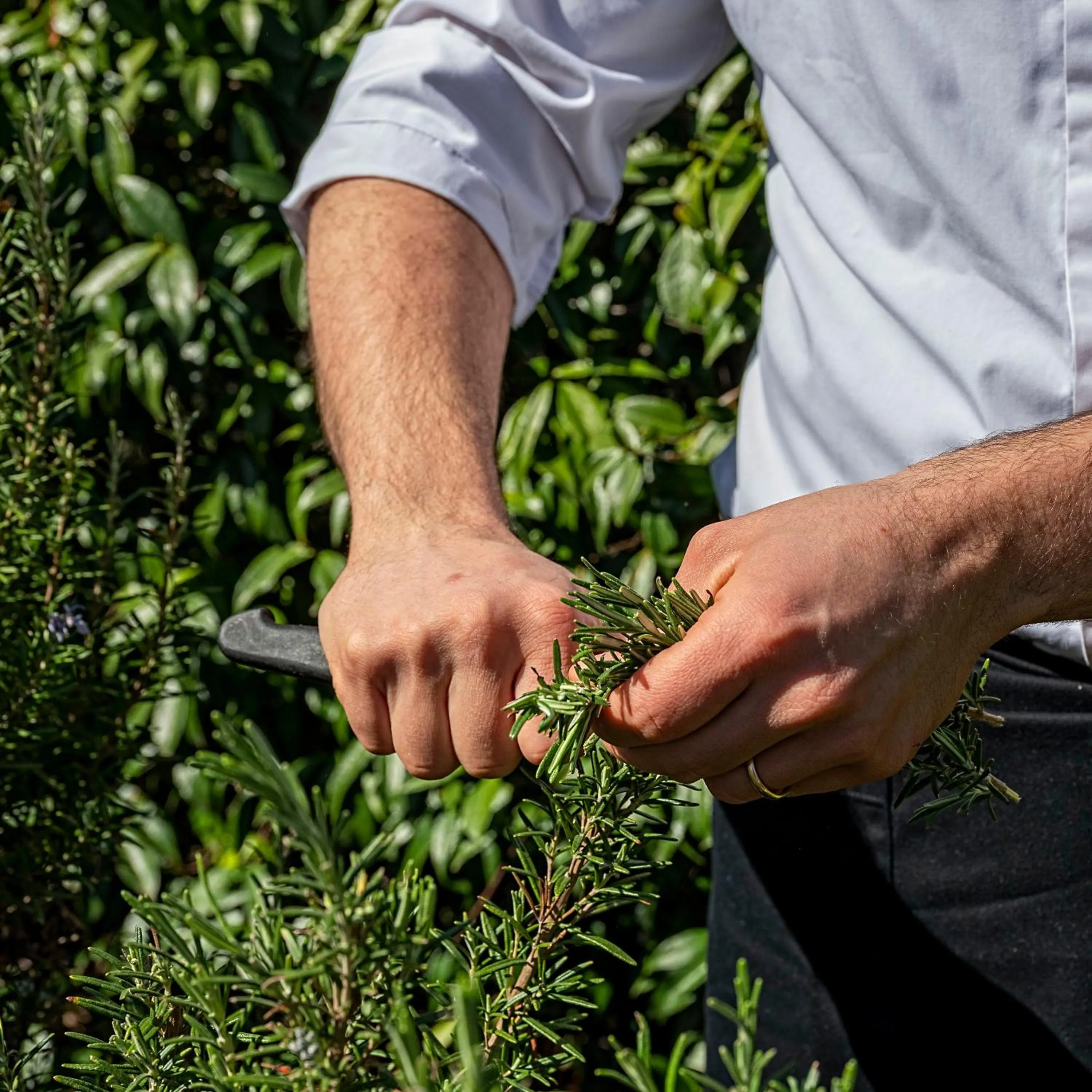Staff in Il Castagneto Hotel