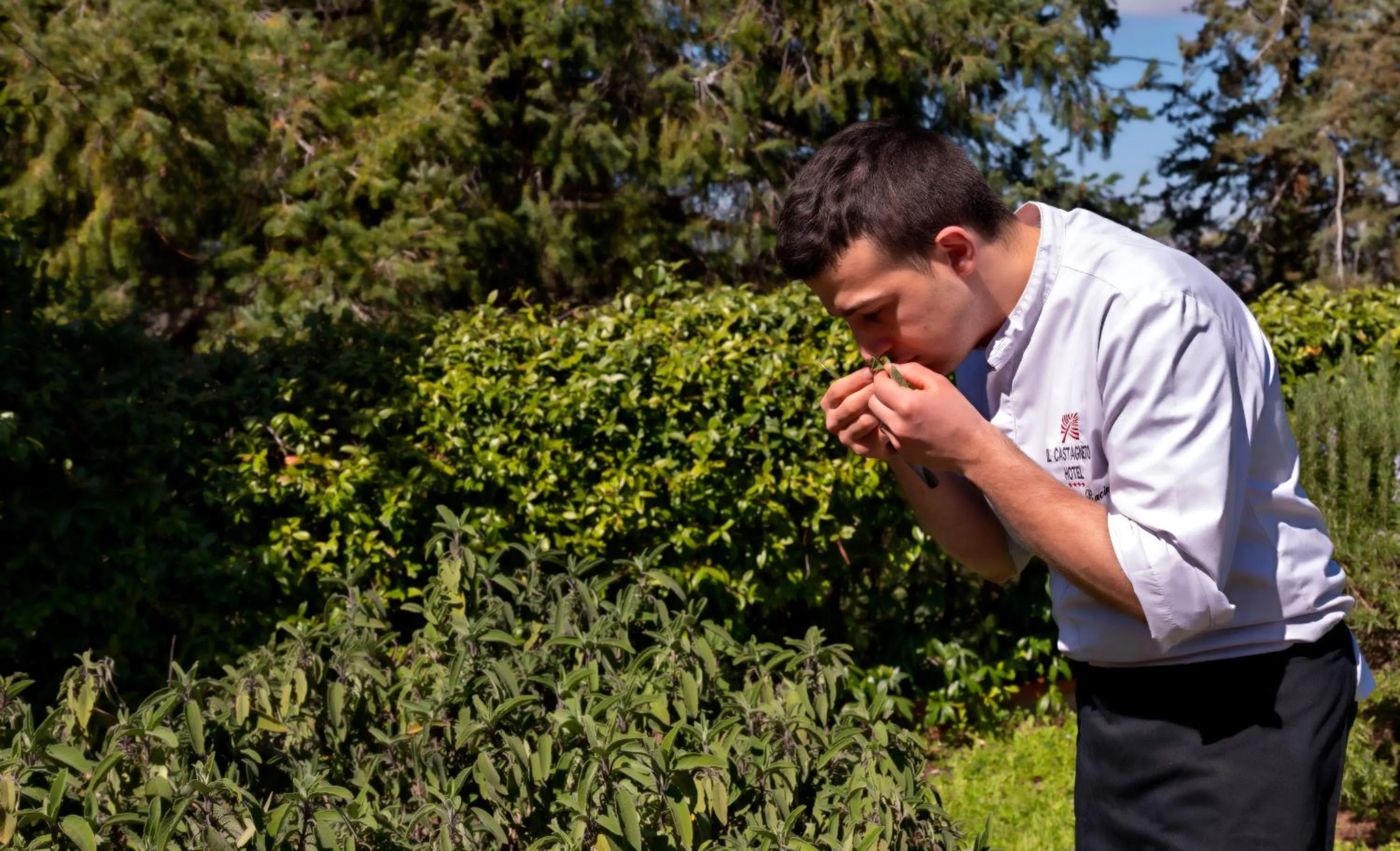 Restaurant/places to eat in Il Castagneto Hotel