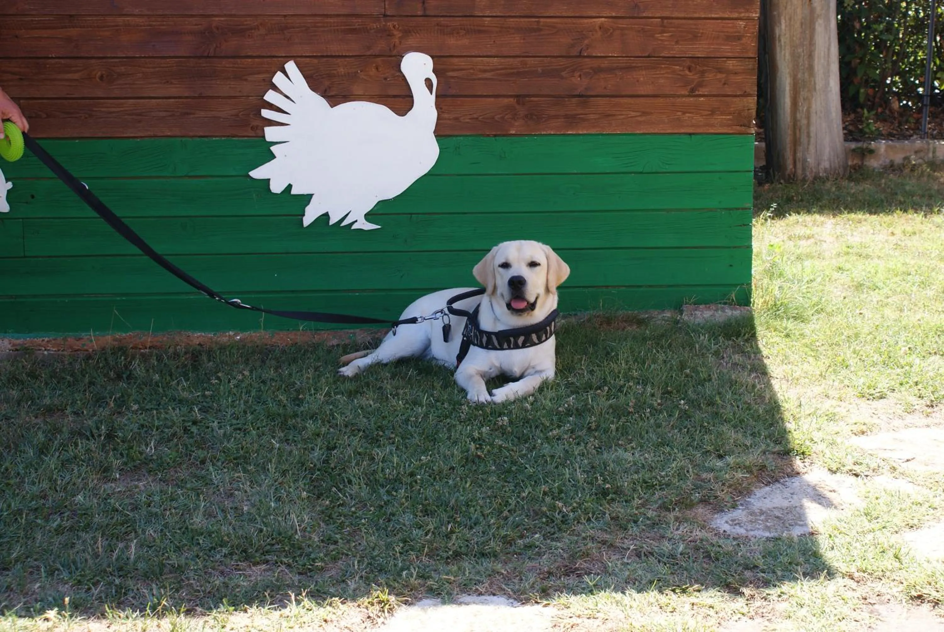 Pets in Casale del Conero