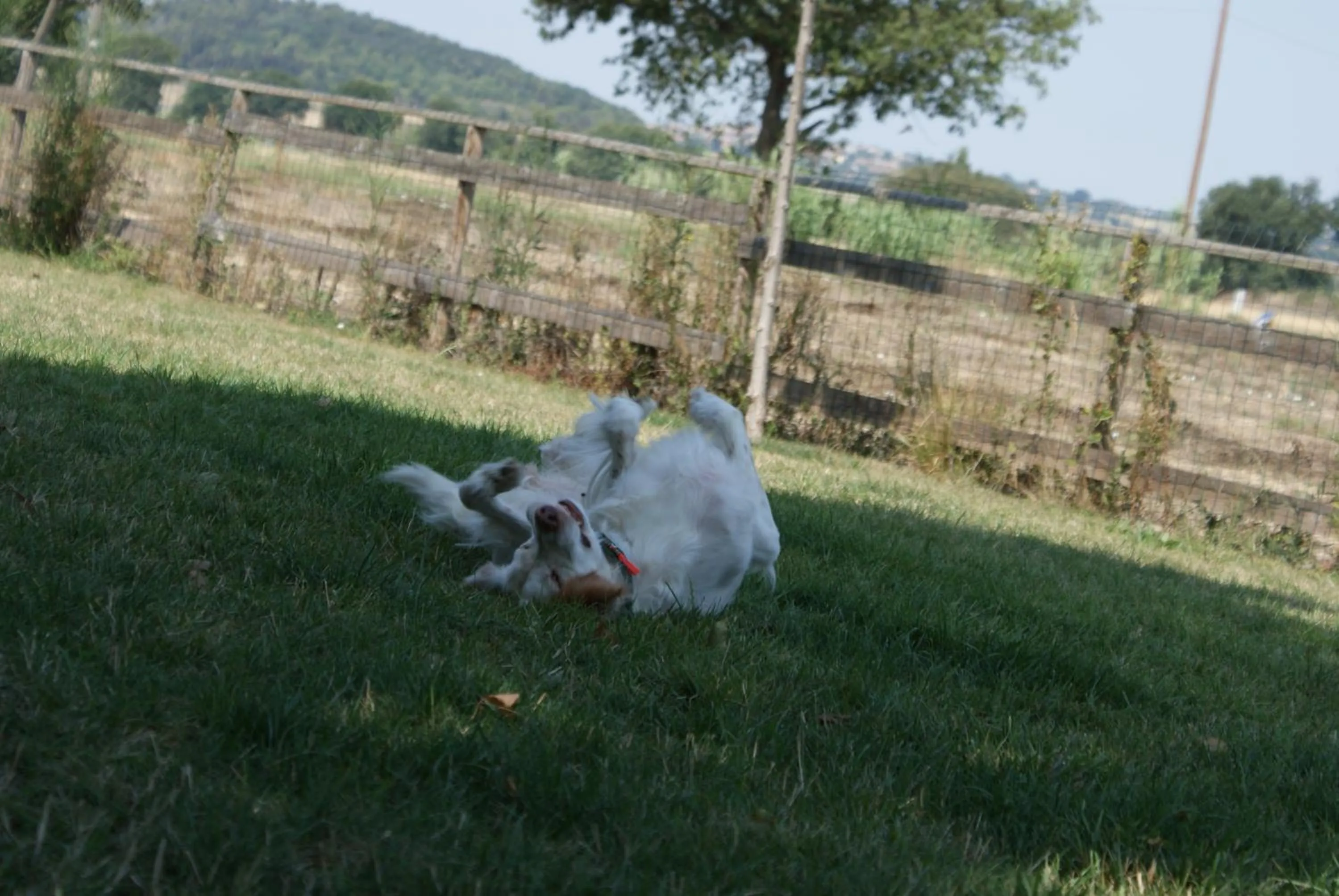 Garden in Casale del Conero