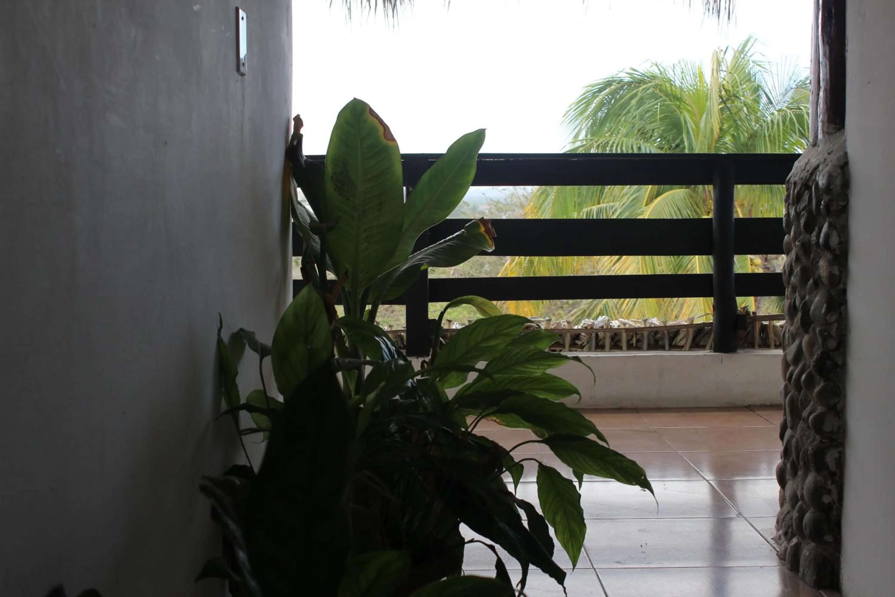 Hotel Villas del Rey