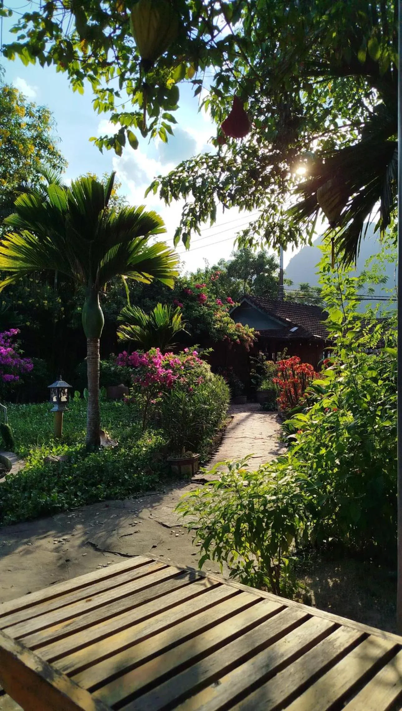 Garden in Lucky Homes