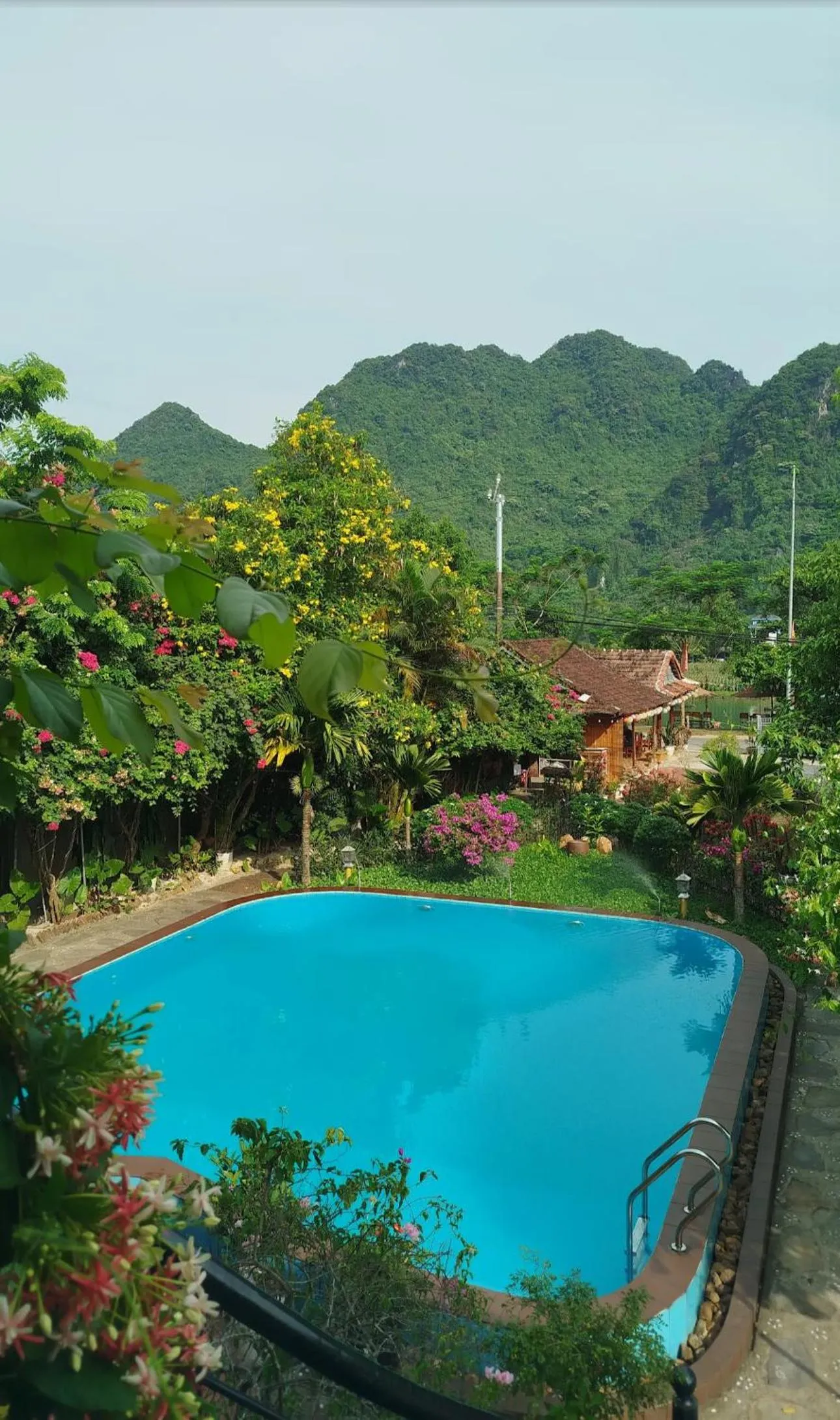 Swimming pool in Lucky Homes