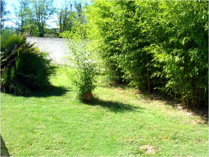 Garden in Hôtel de la Madeleine Anduze