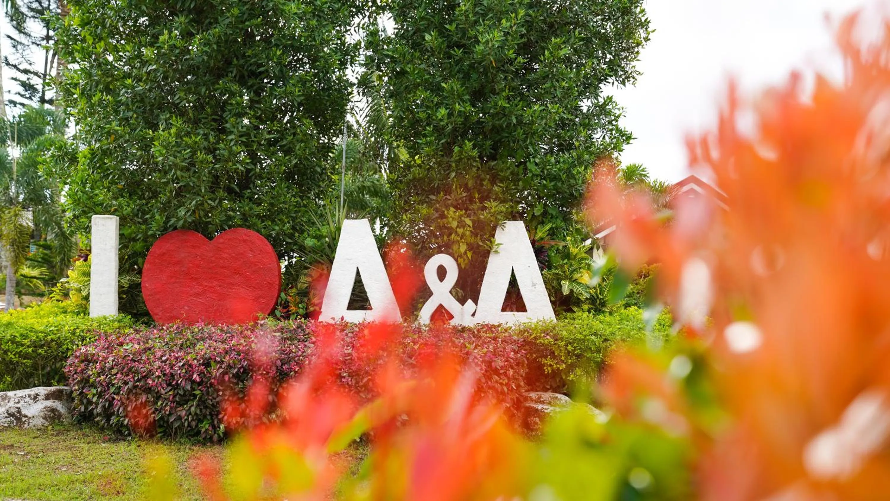 Garden in A&A Garden Suites