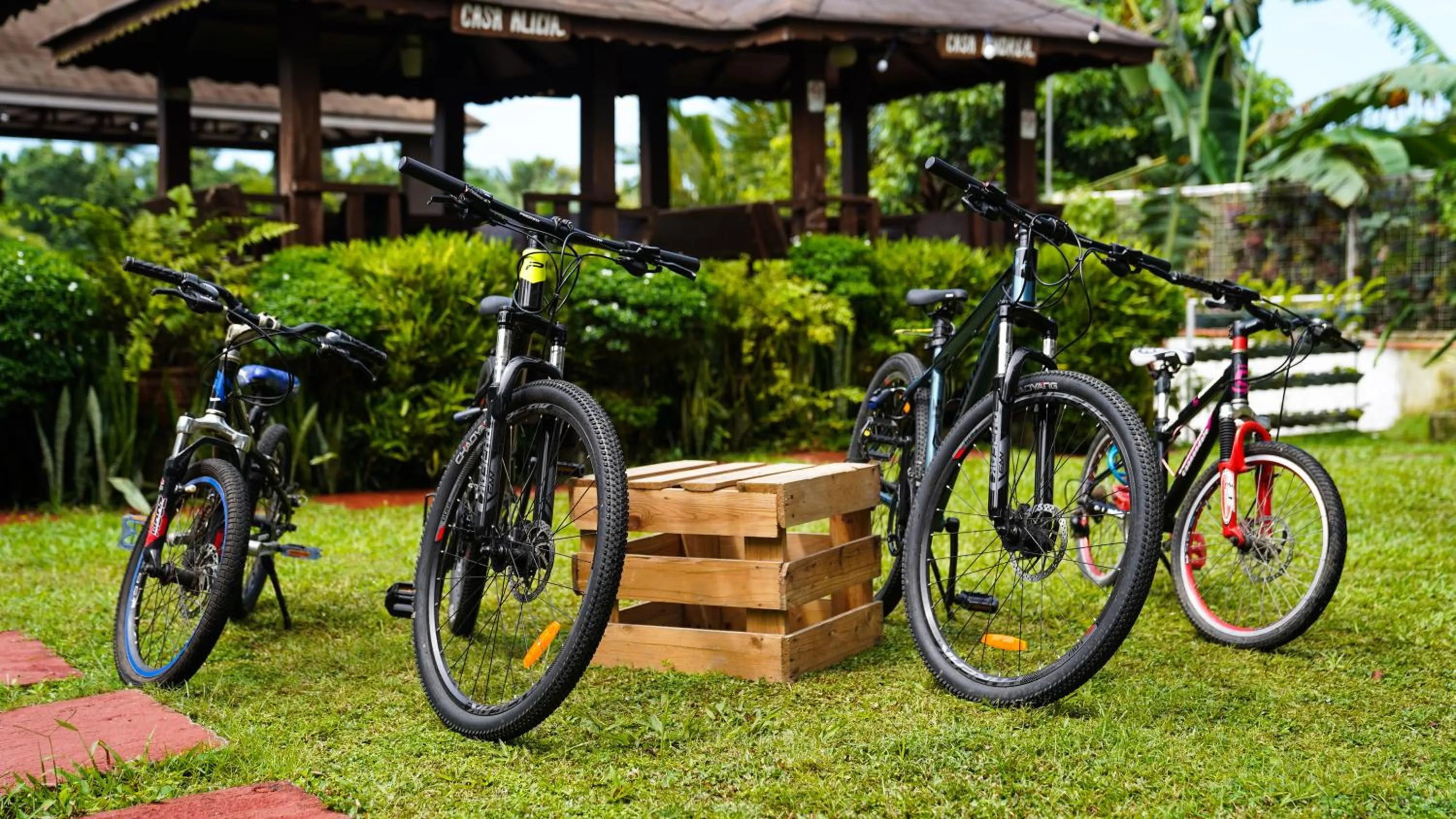 Cycling in A&A Garden Suites