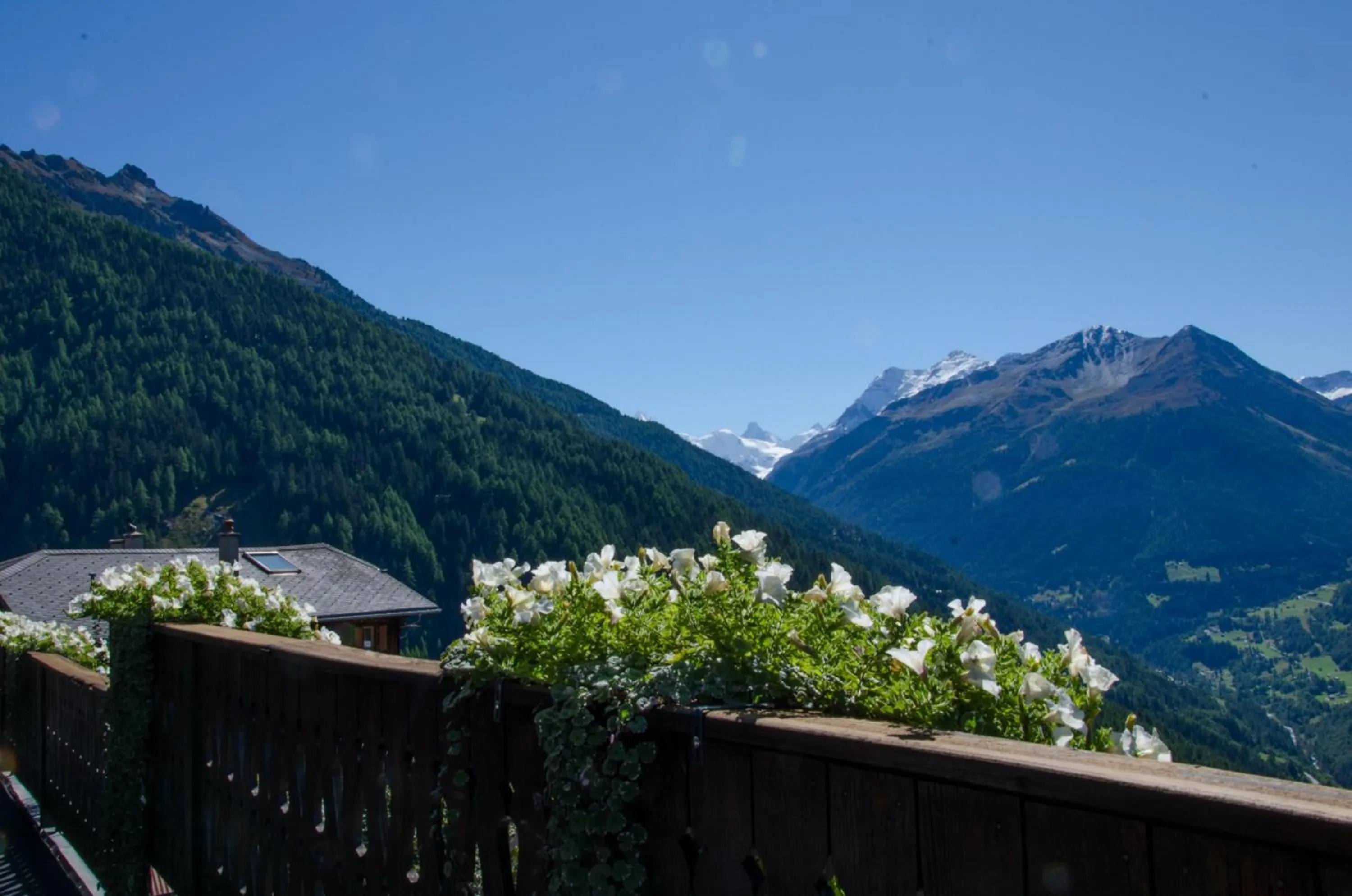 Day in Hôtel Le Grand Chalet Favre