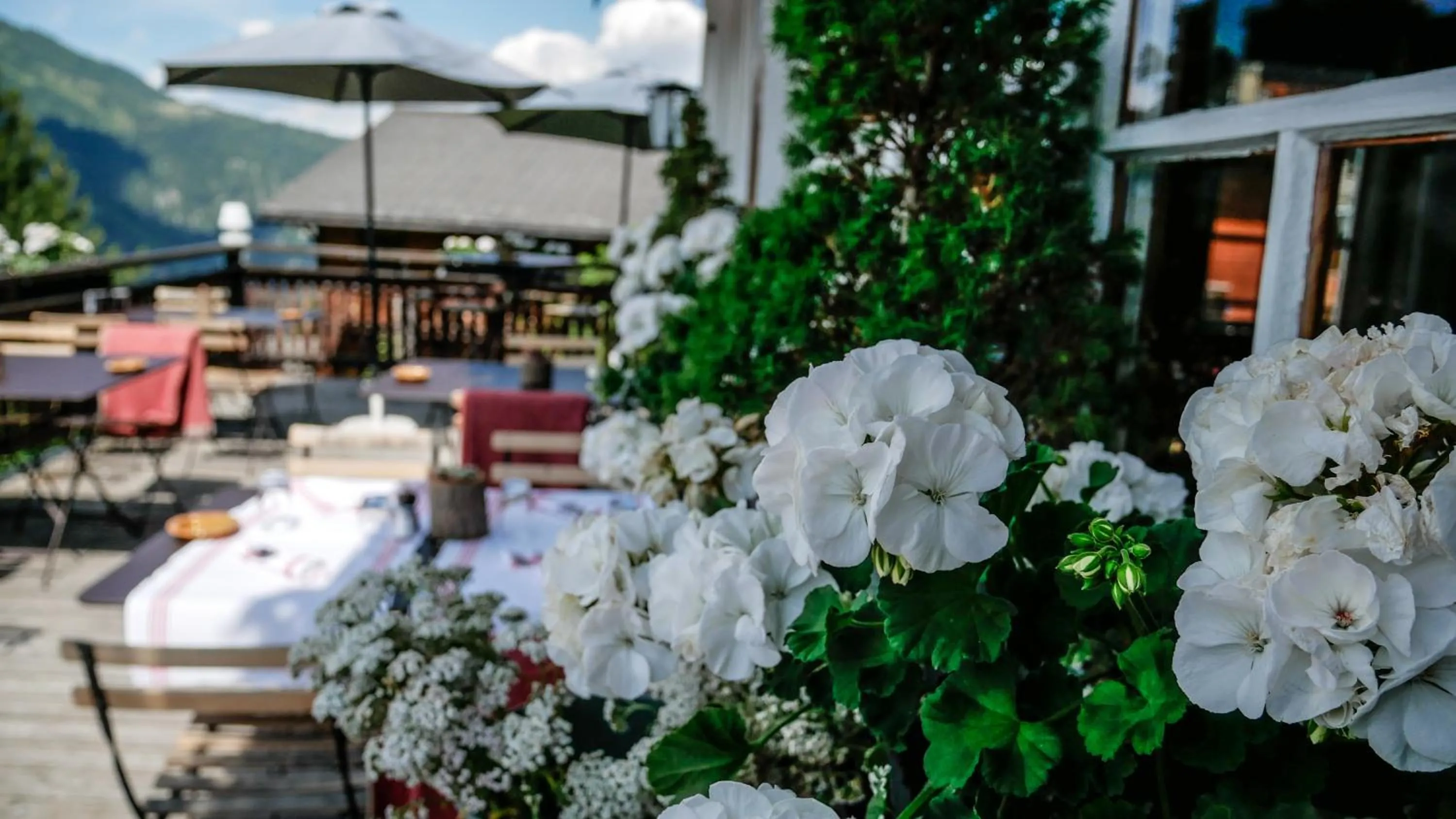 Summer in Hôtel Le Grand Chalet Favre