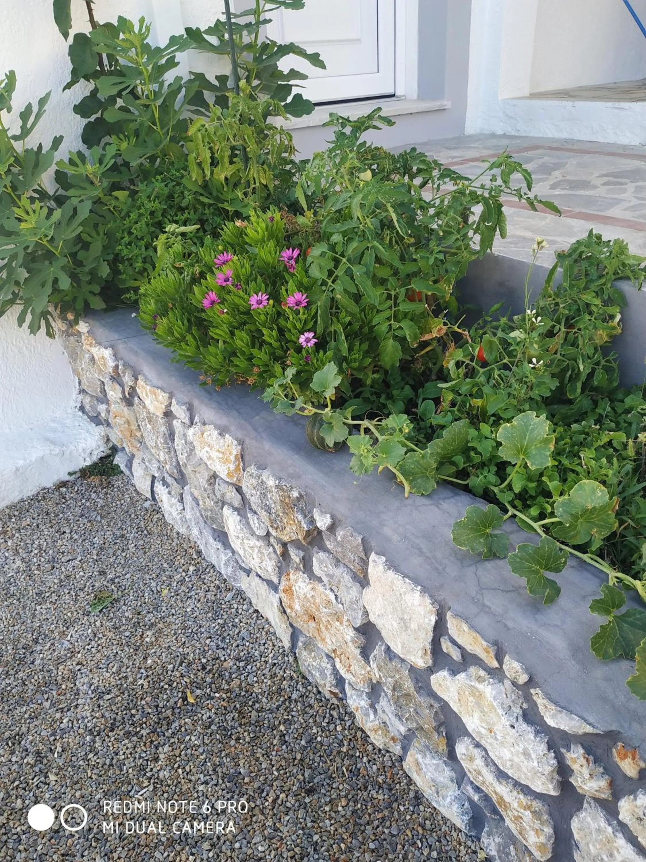 Elenis Studios&Apartments