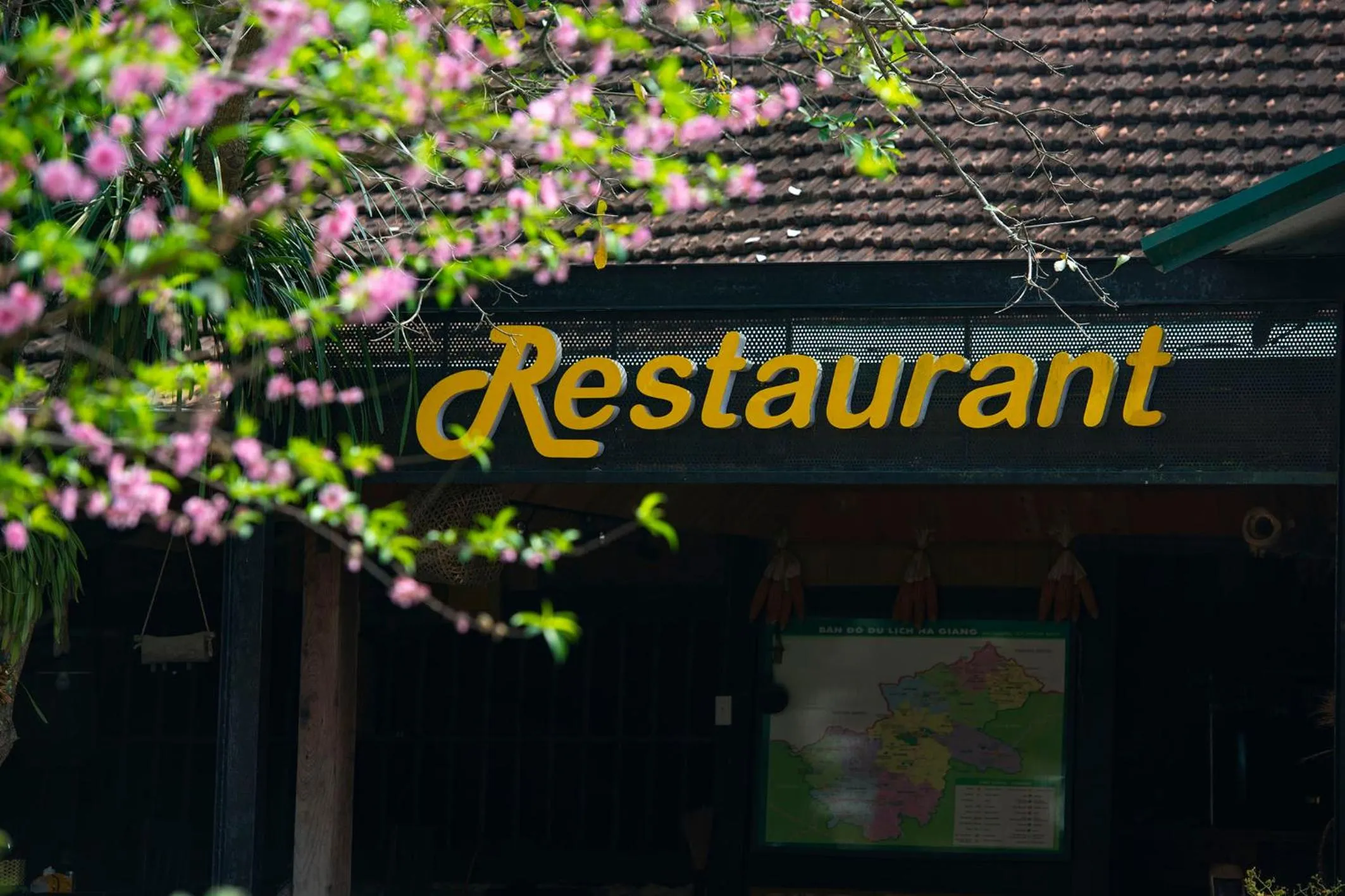 Ha Giang Historic Hotel & Tours