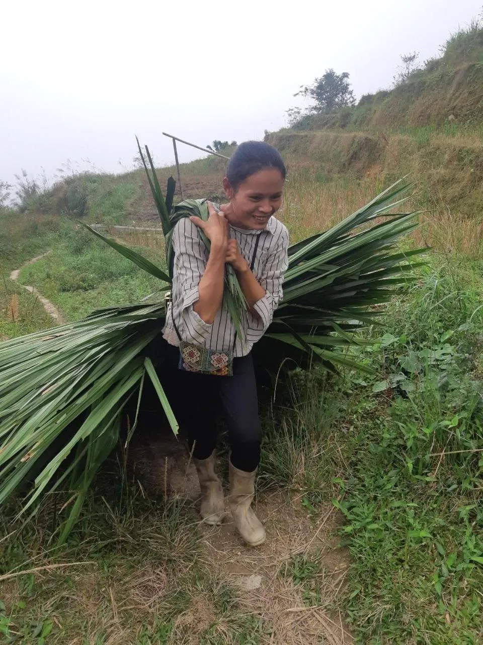 Ha Giang Historic Hotel & Tours